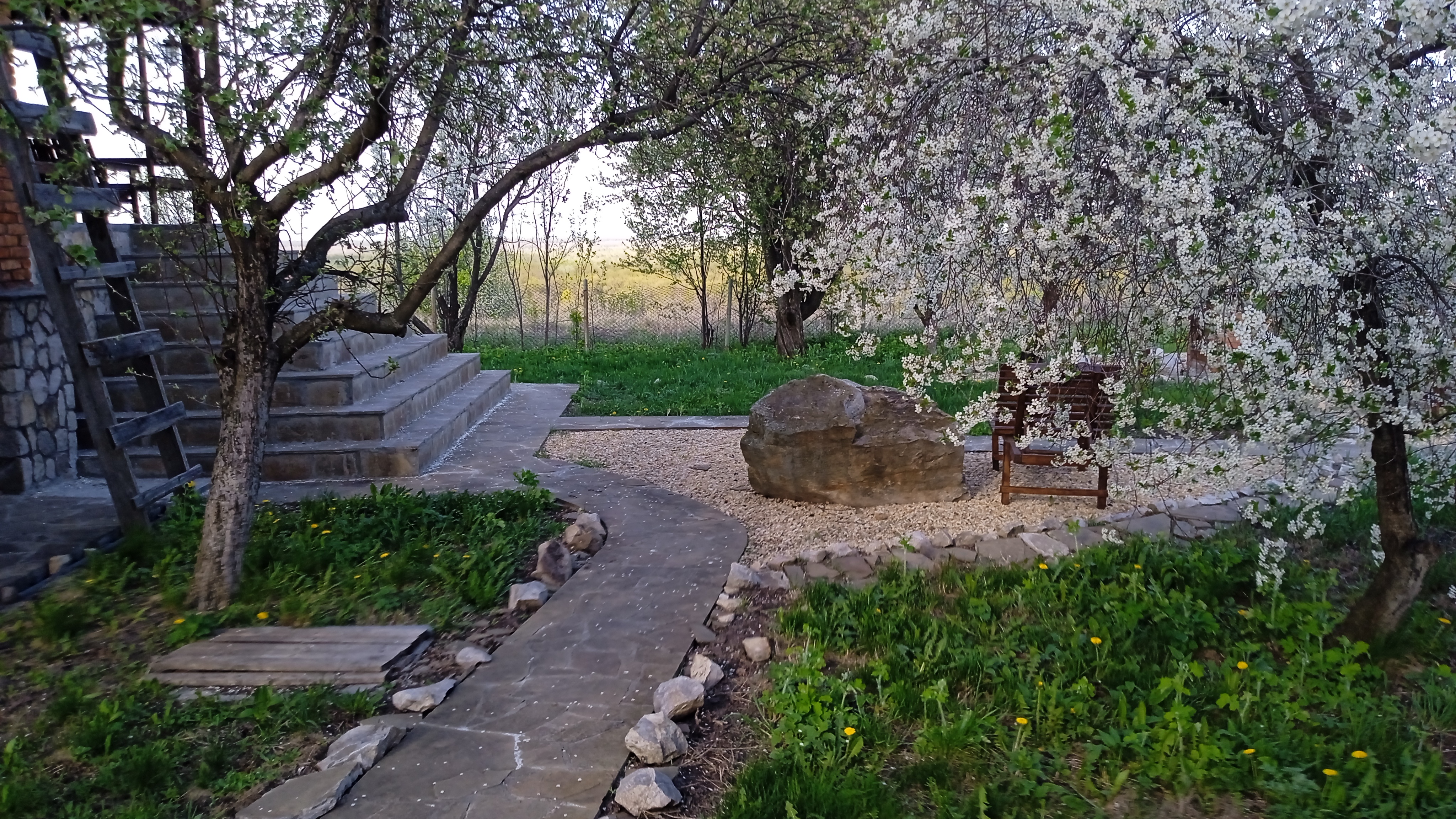 Цигун и Тайцзицюань  в  Dao View - Ясные просторы (15/41)