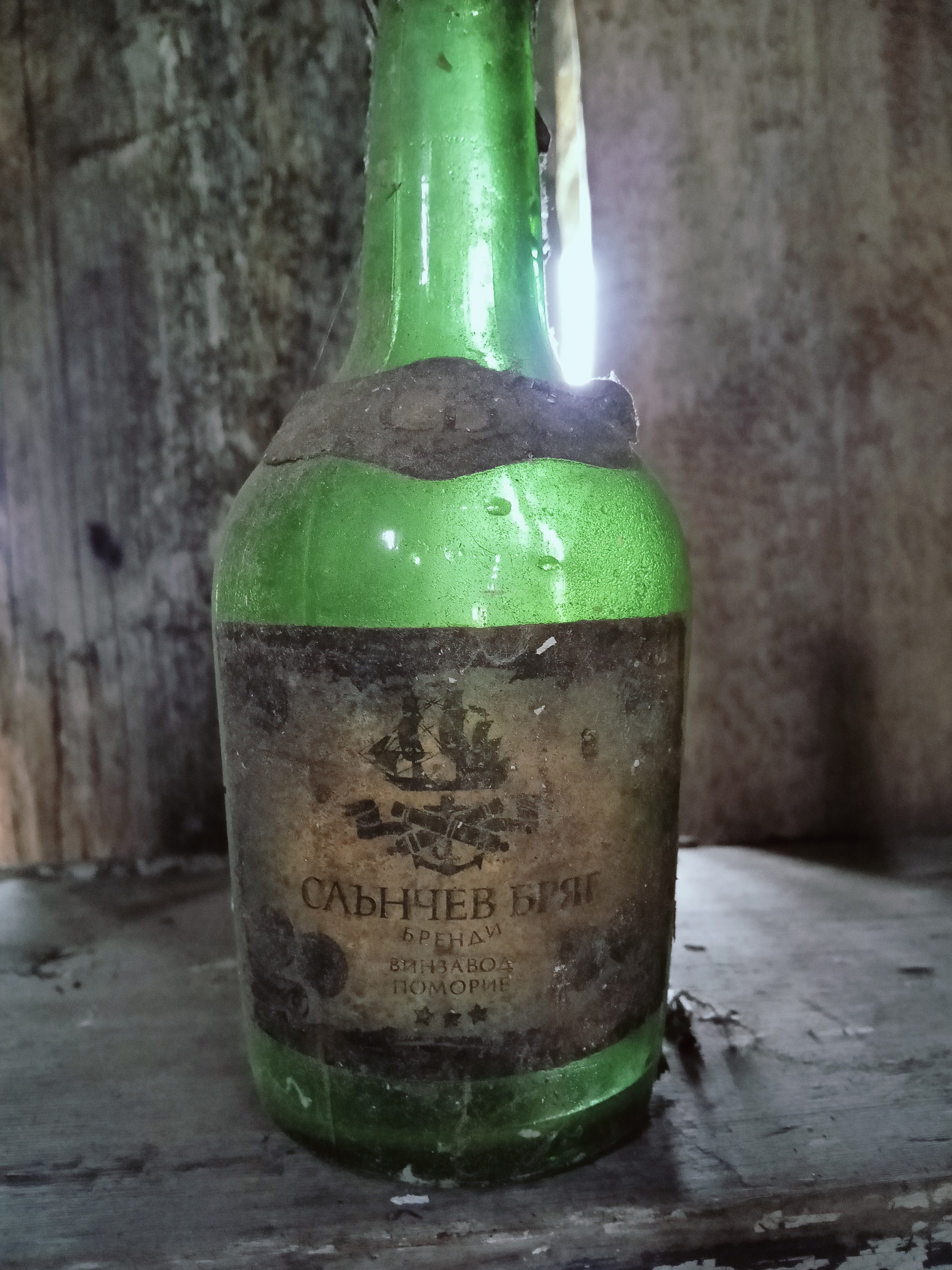 Пинега — река могучего Русского Севера. Водный поход в Архангельской тайге (22/34)