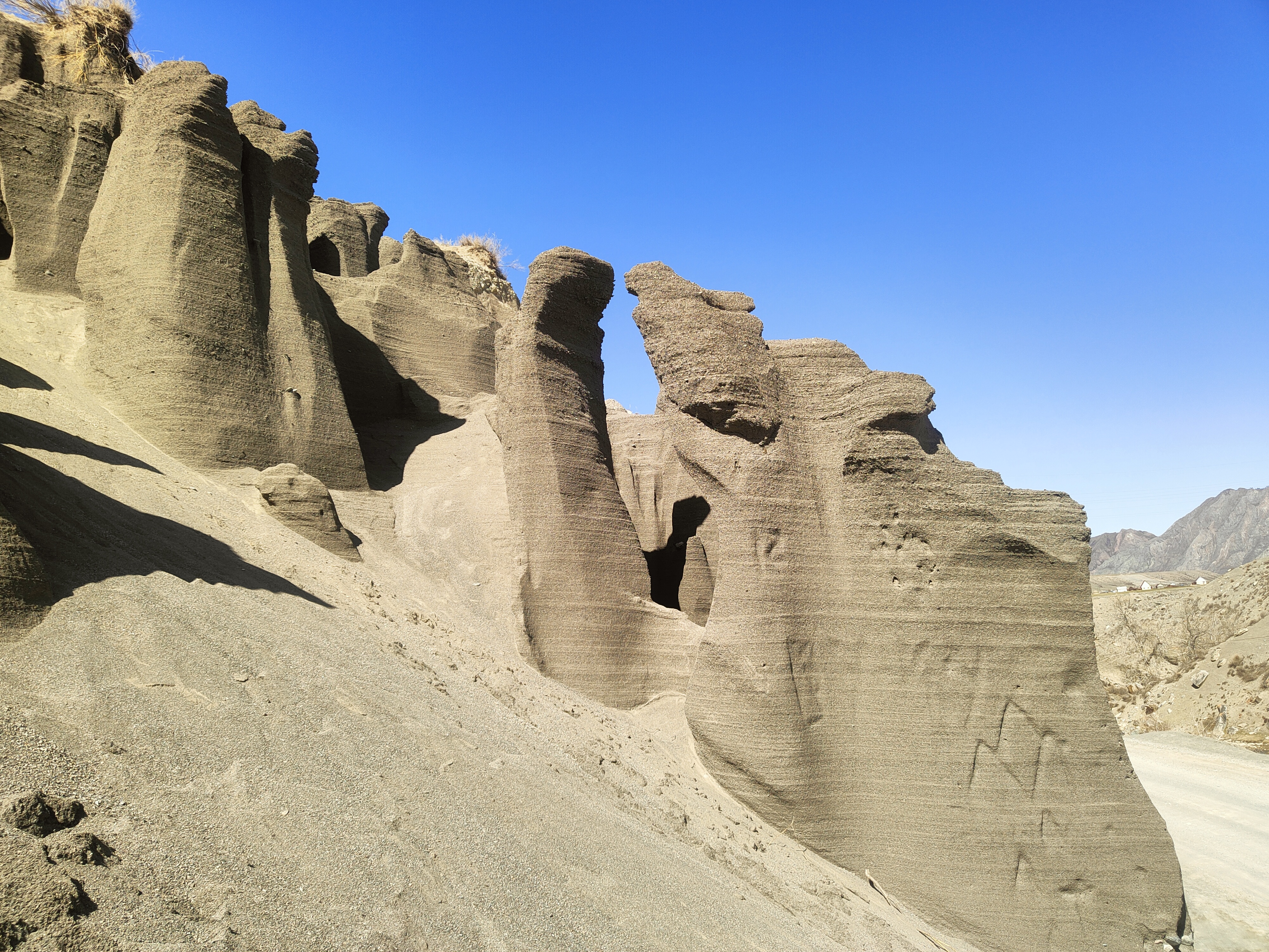 Цветение Маральника в Горах Алтая. (12/27)