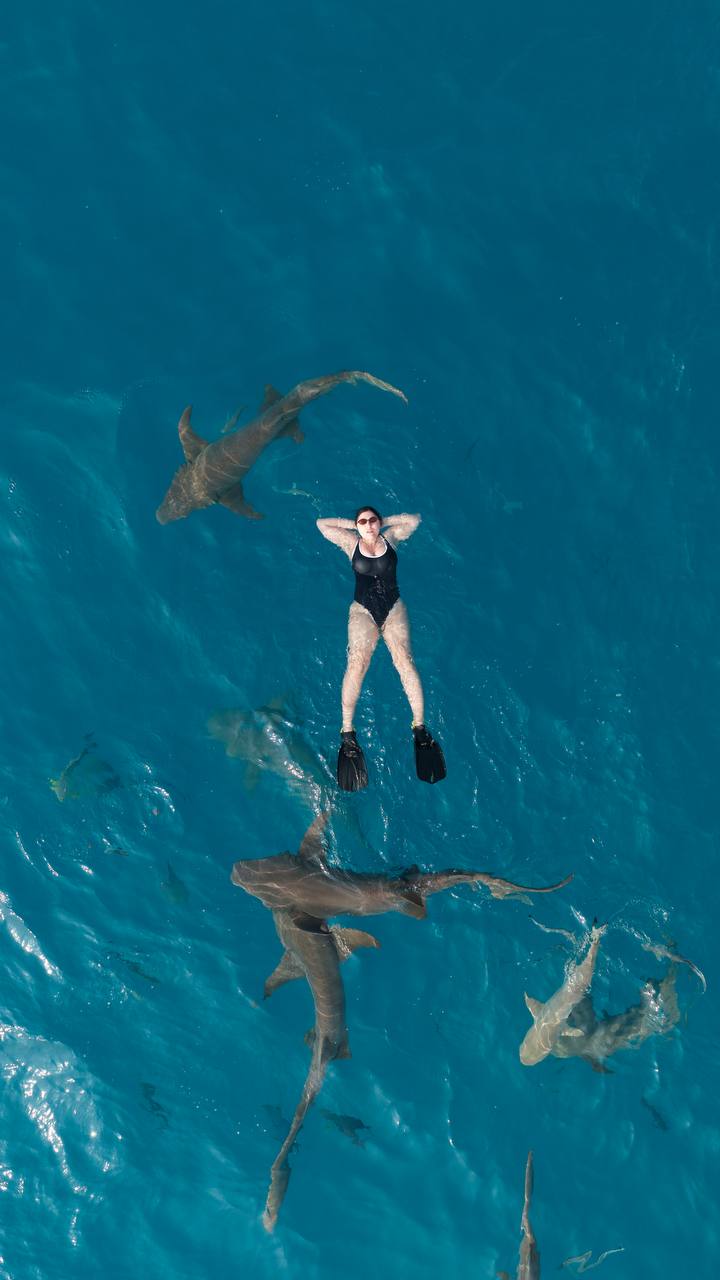 райские Мальдивы, 8 дней (43/111)