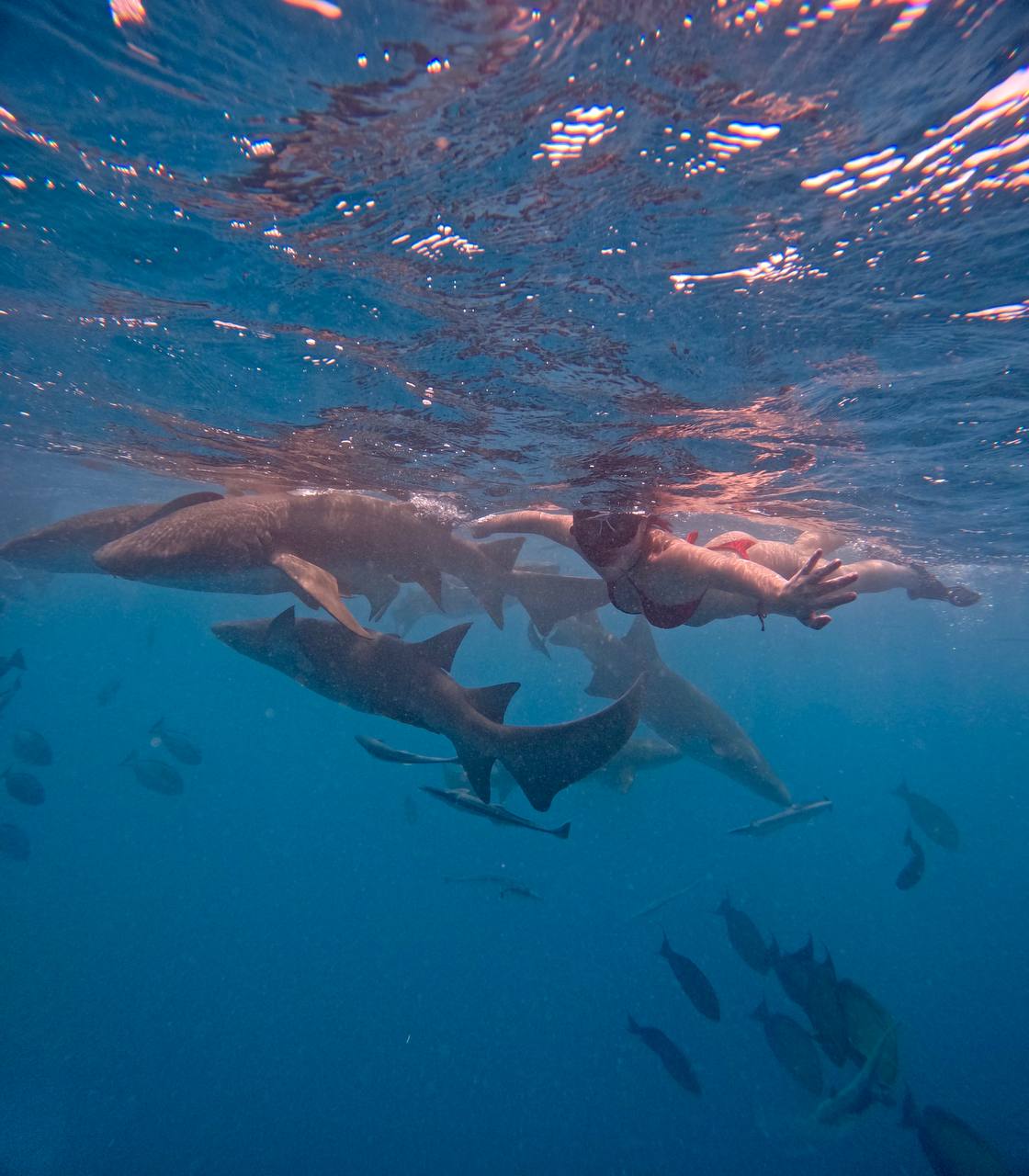 райские Мальдивы, 8 дней (45/111)