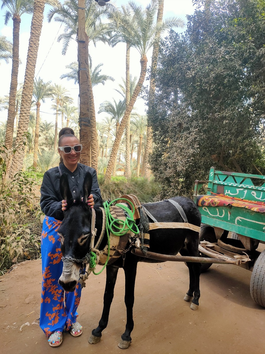 Тайны Саккары Дахшура и фермы (5/16)