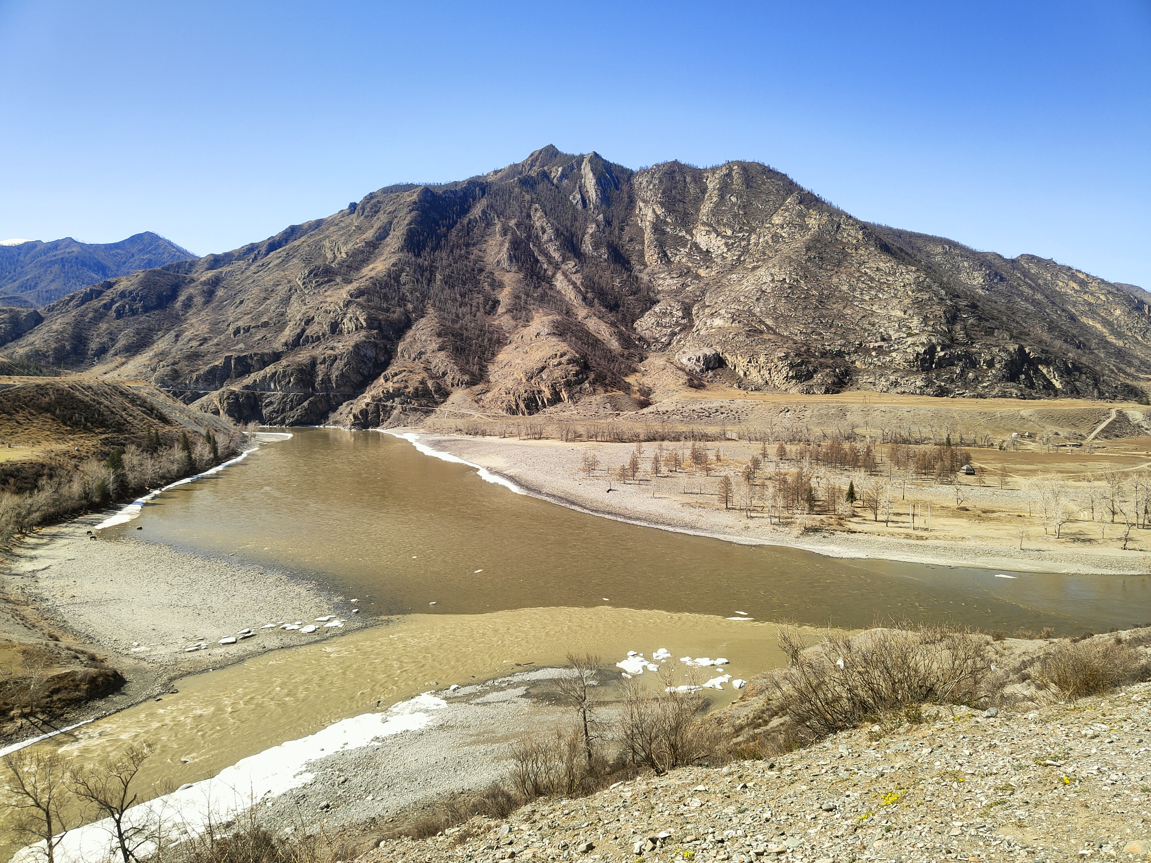 Цветение Маральника в Горах Алтая. (14/27)