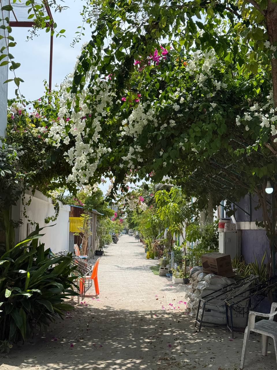 райские Мальдивы, 8 дней (54/111)