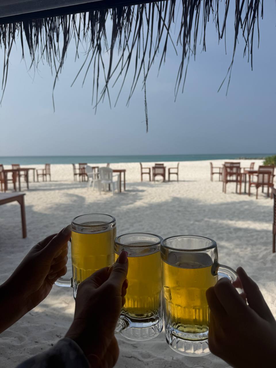 райские Мальдивы, 8 дней (85/111)