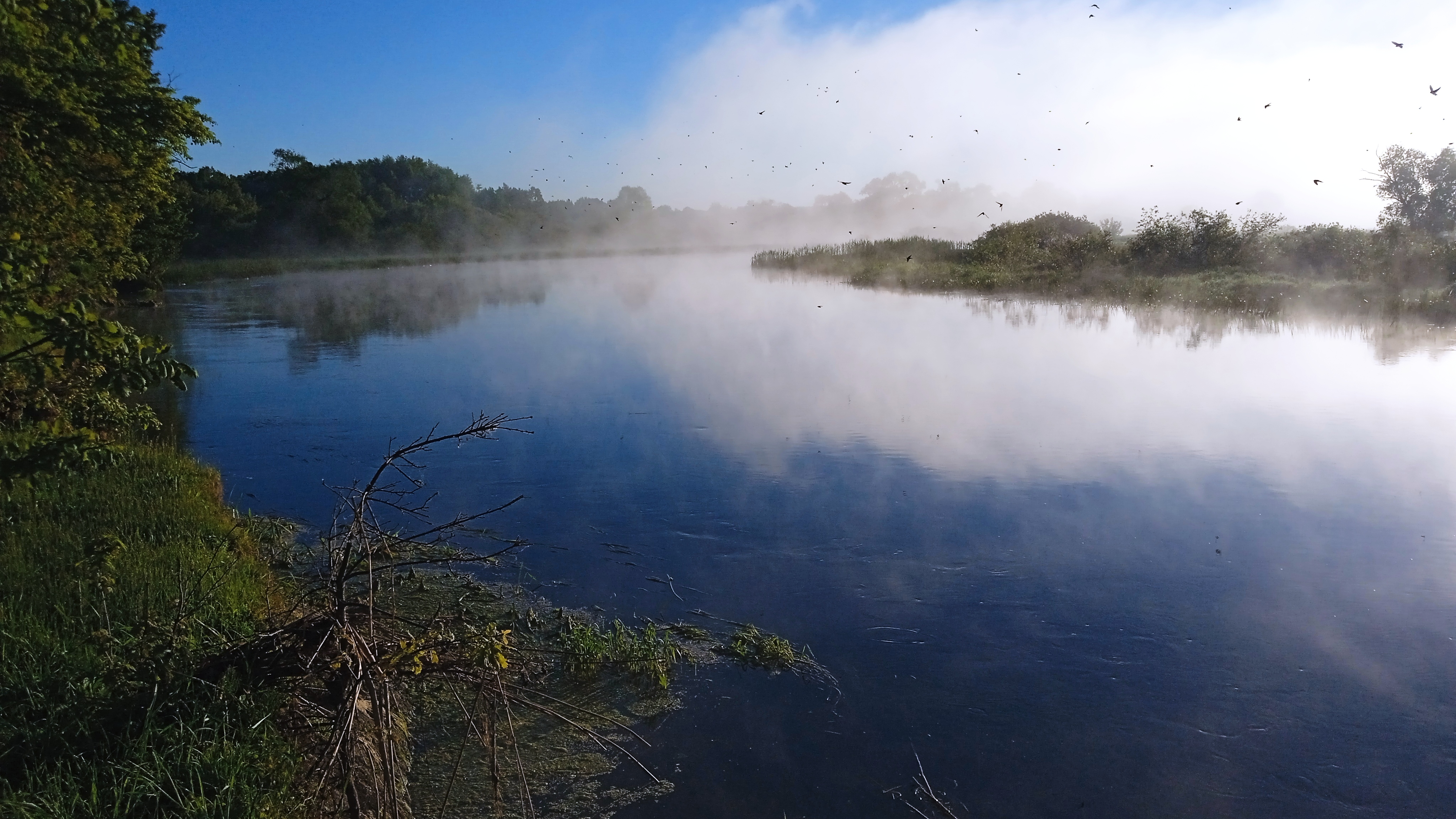 Цигун и Тайцзицюань  в  Dao View - Ясные просторы (23/41)