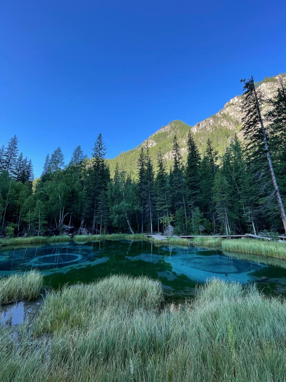 Спорт Кэмп. Алтай: спорт и приключения в одном туре. (4/31)