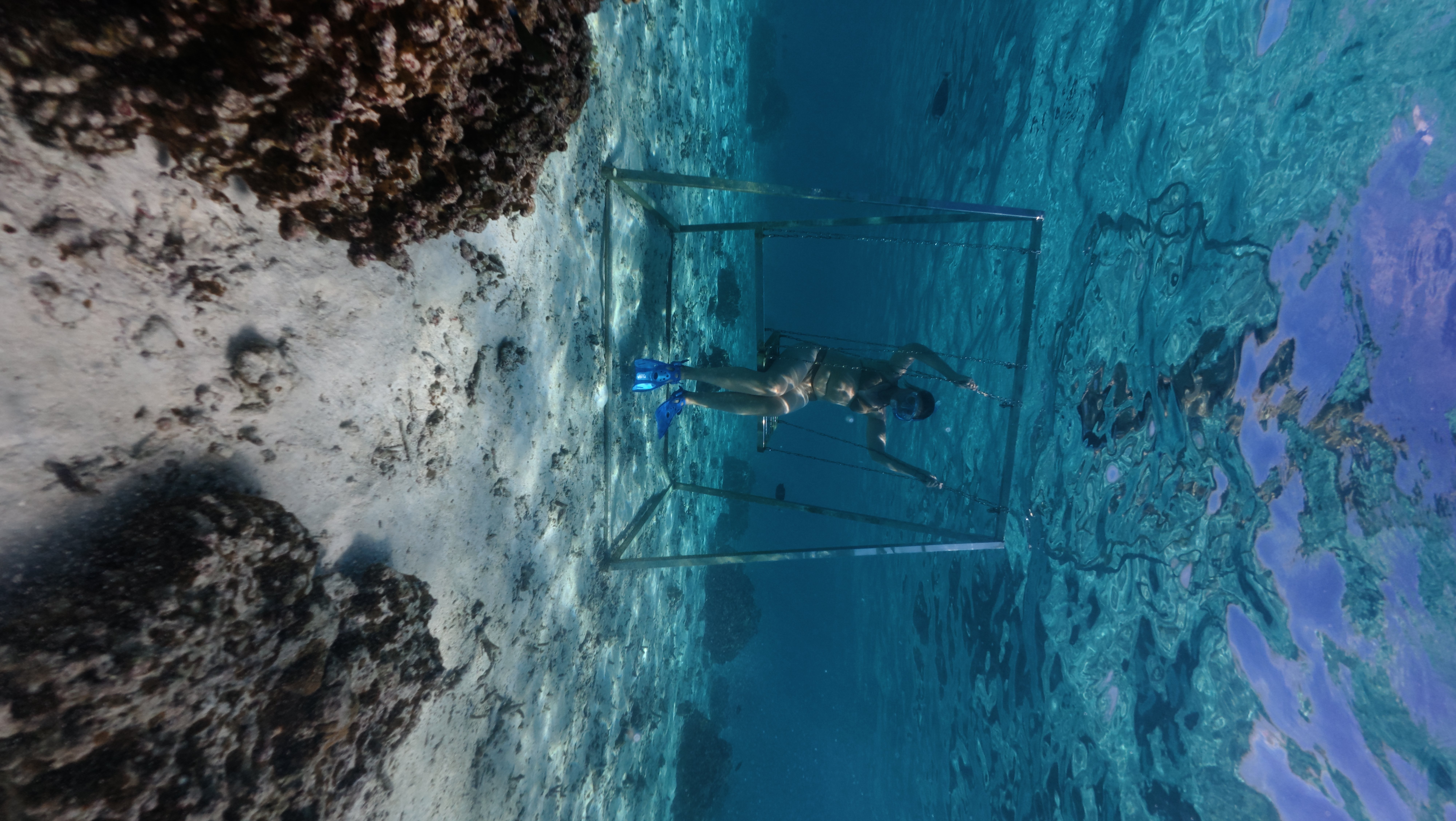 Путешествие  на Мальдивы (21/30)