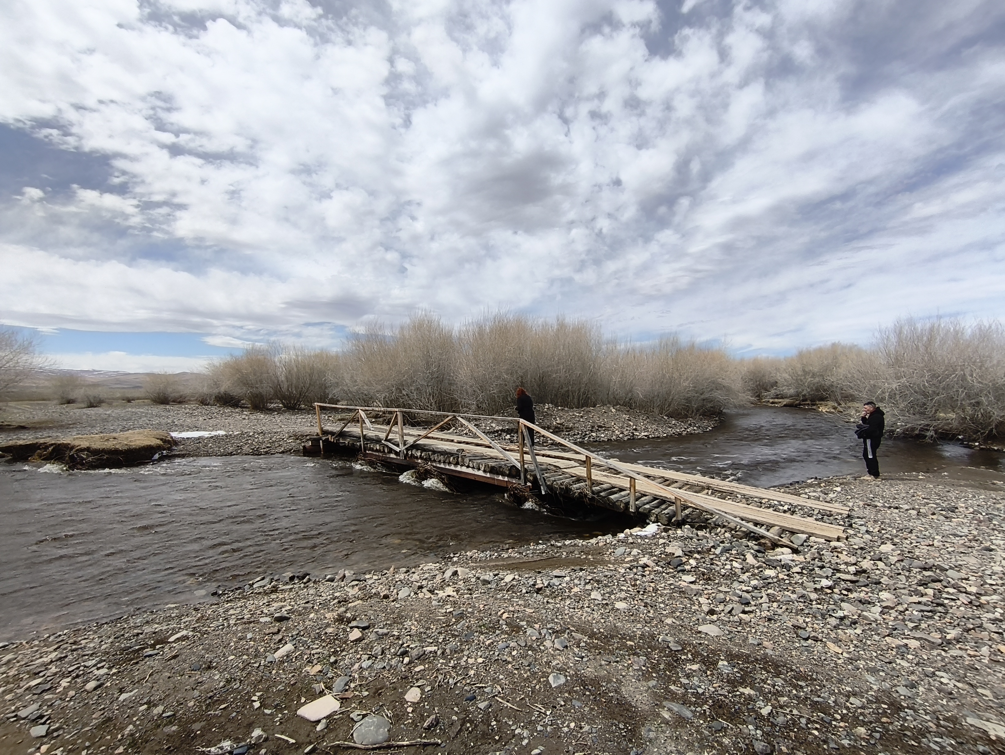 Майские фиолетовые (7/25)