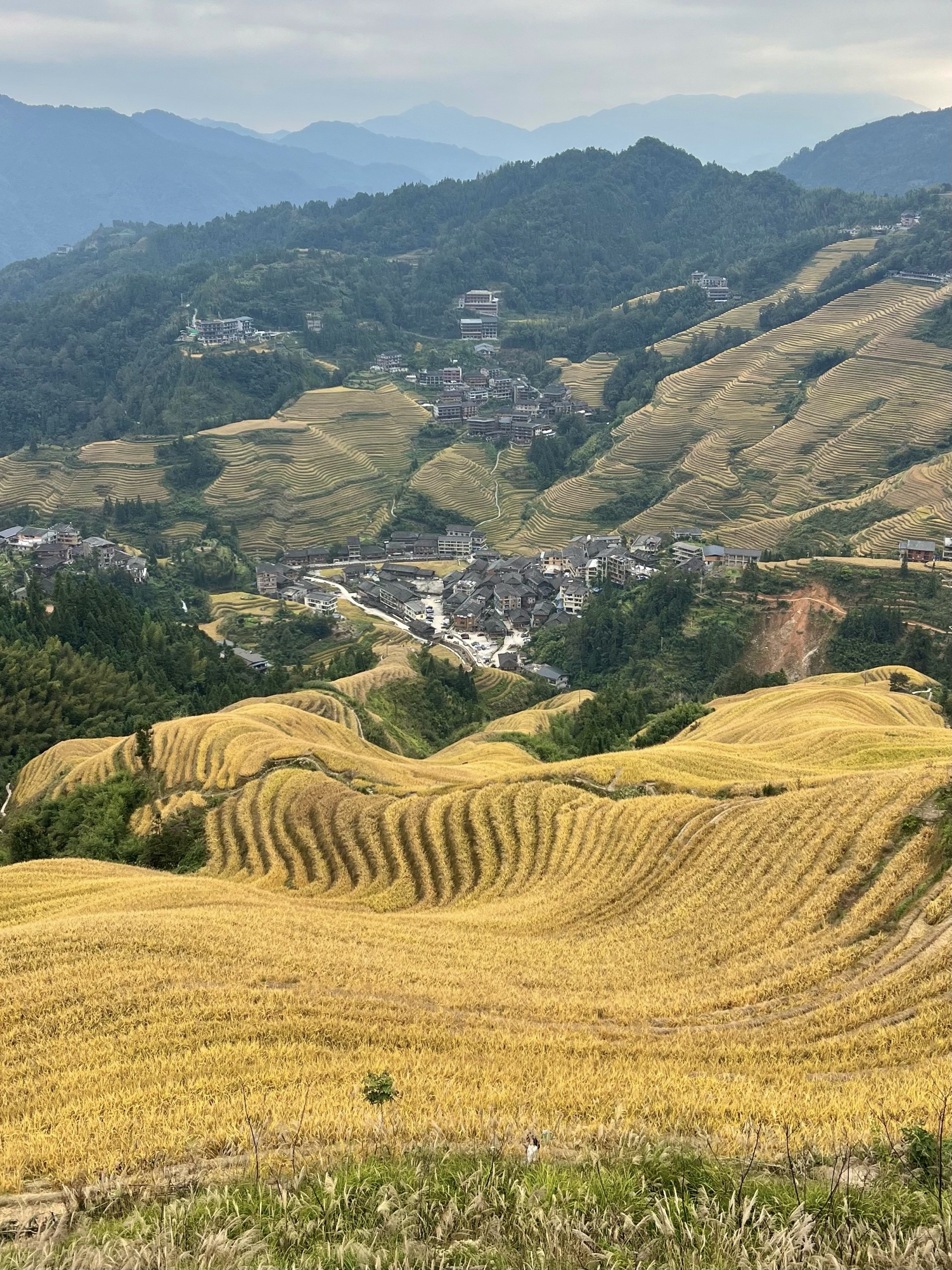 Великий Китай: Пекин-Сиань-Чжанцзяцзе-Фэнхуан-Гуйлинь-Яншо-Хайнань (23/64)