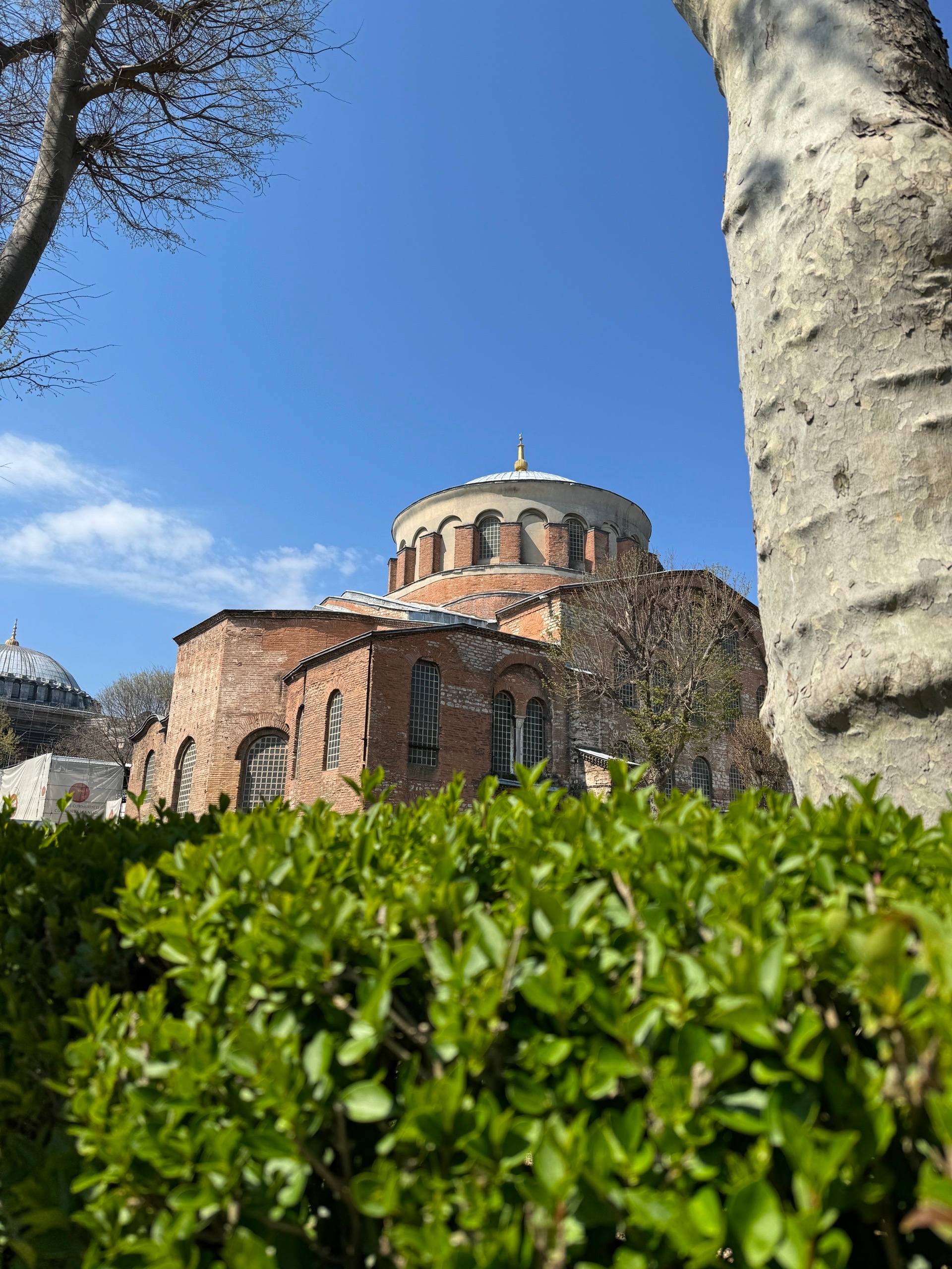 Яркий Стамбул: фестиваль тюльпанов 8-12 апреля (23/32)