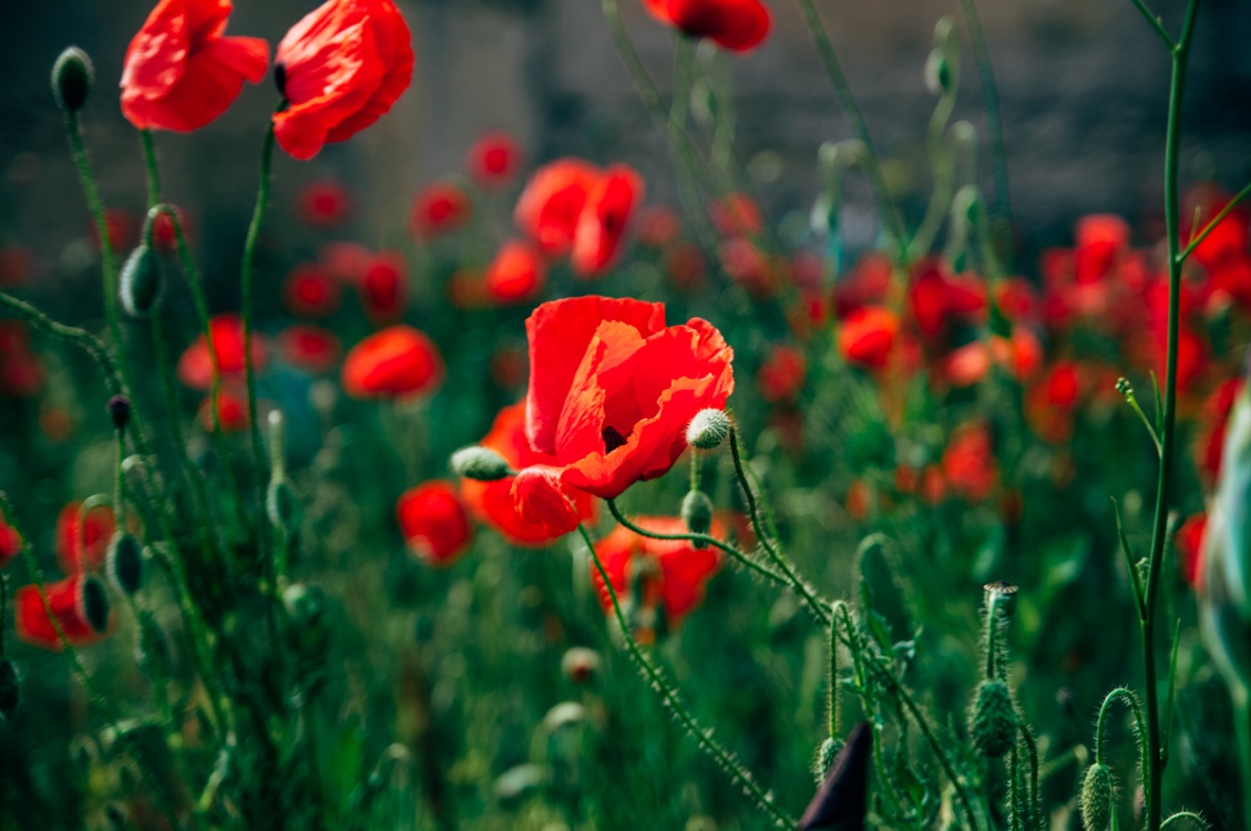 Тайны древнего Крыма (без палаток) (15/16)