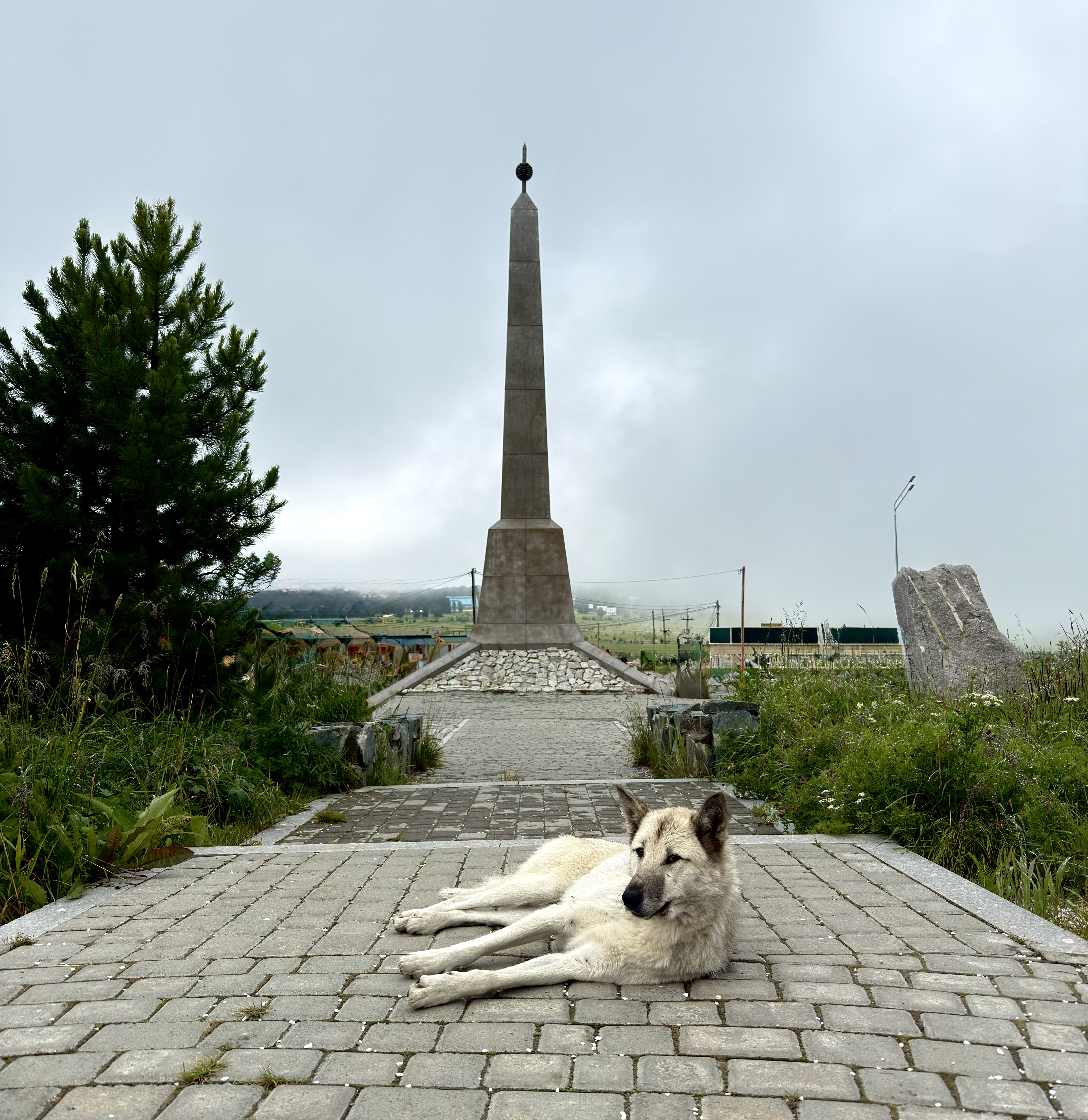 Волшебство Чуйского тракта. Знакомство с одной из самых красивых дорог мира (5/40)