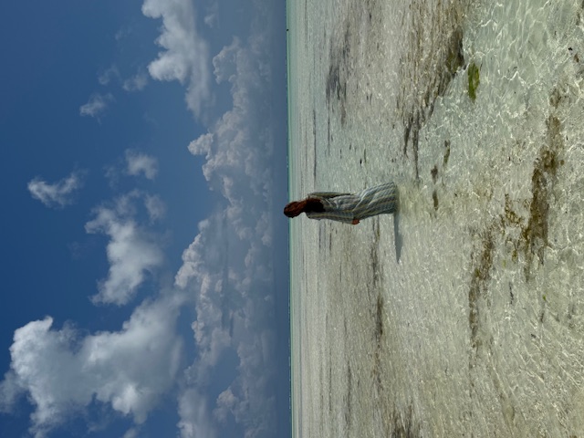 Занзибар : катамаран, океан, открытия без границ! (26/26)