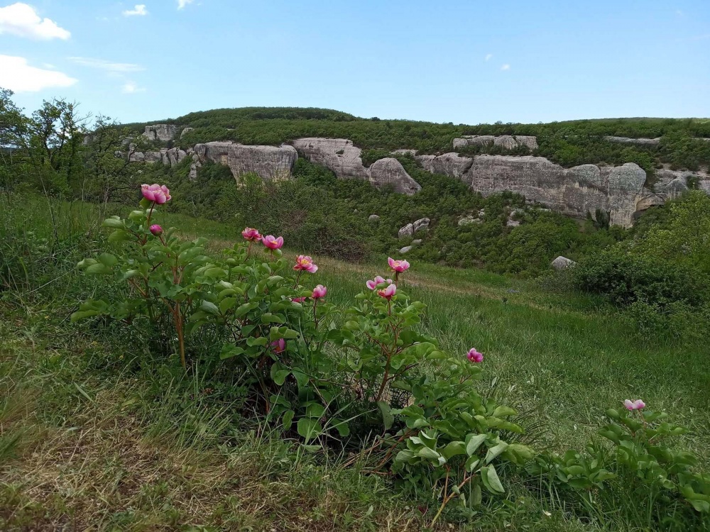 Тайны древнего Крыма (без палаток) (12/16)