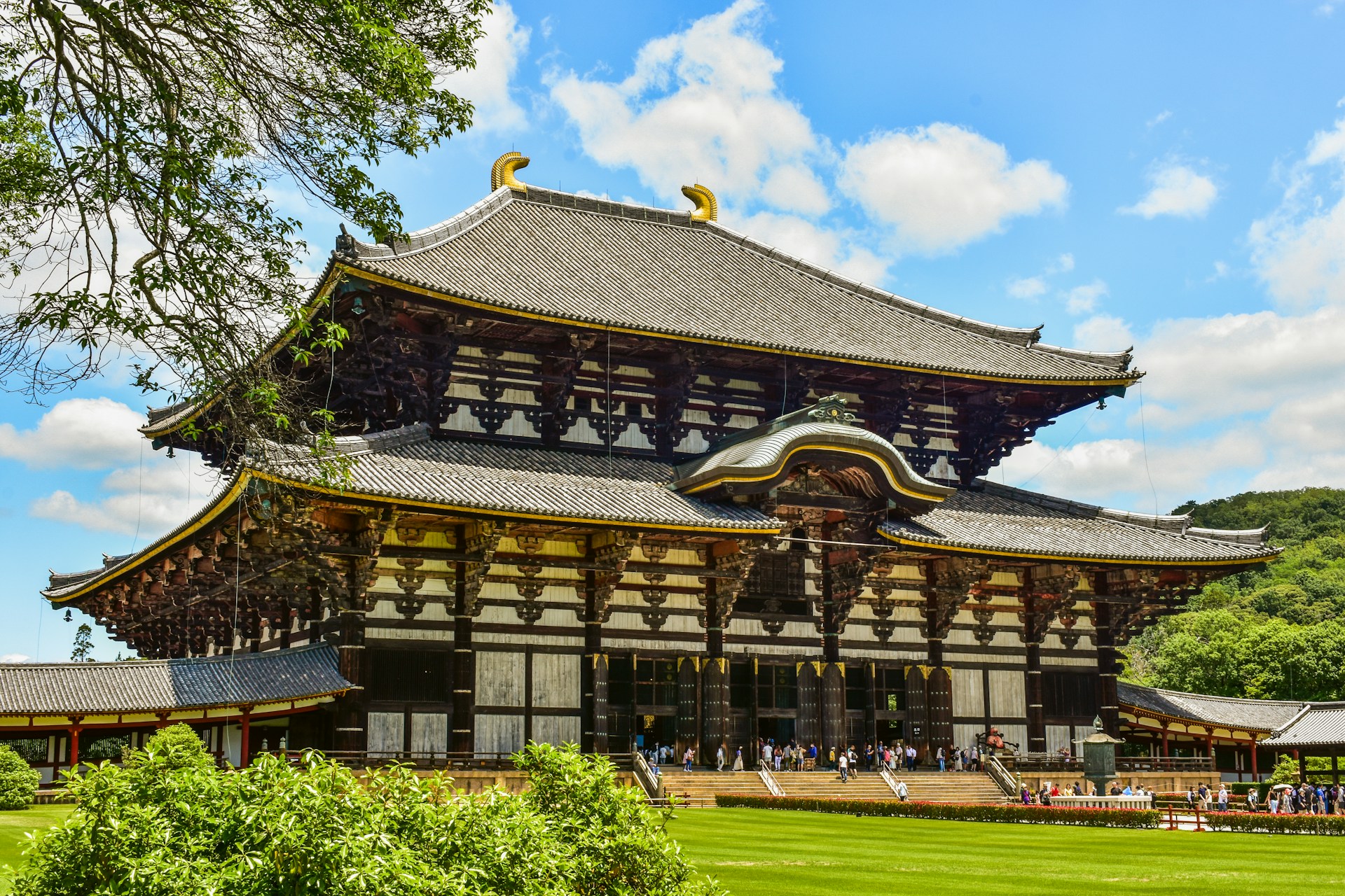 Япония в мае (24/28)