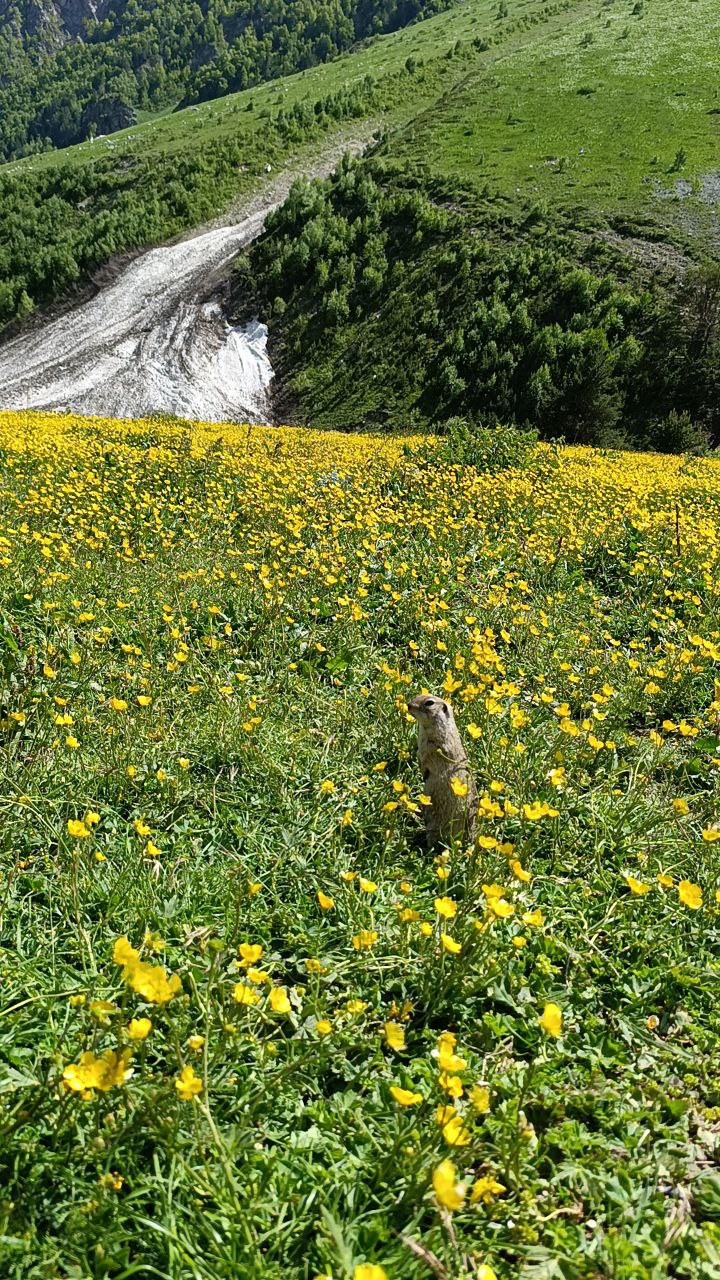 Кавказ - новые горизонты ( со скидкой!!,  все включено , 6 дней) (56/107)