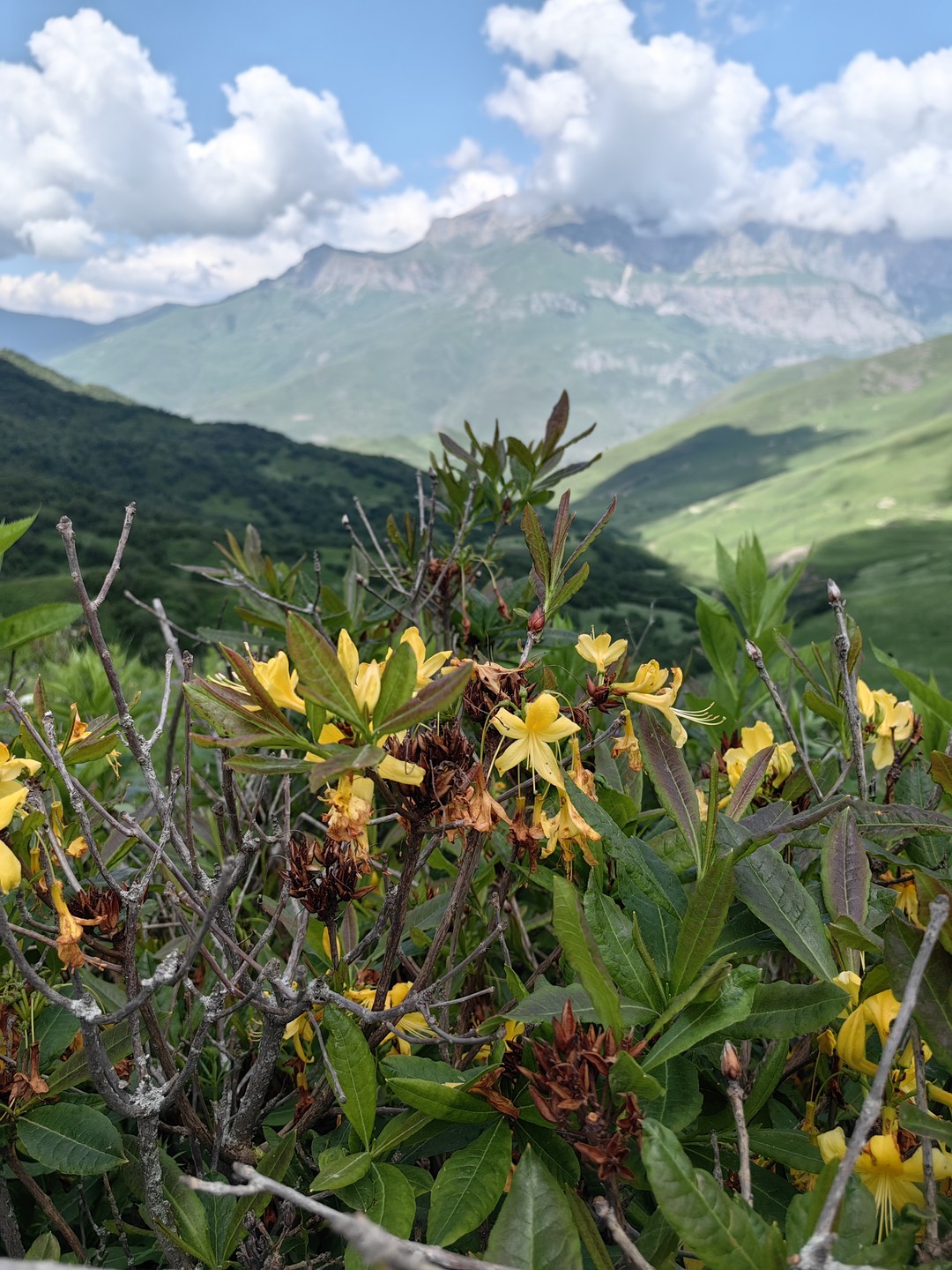 Горы Зовут Тебя в Северную Осетию (4/29)