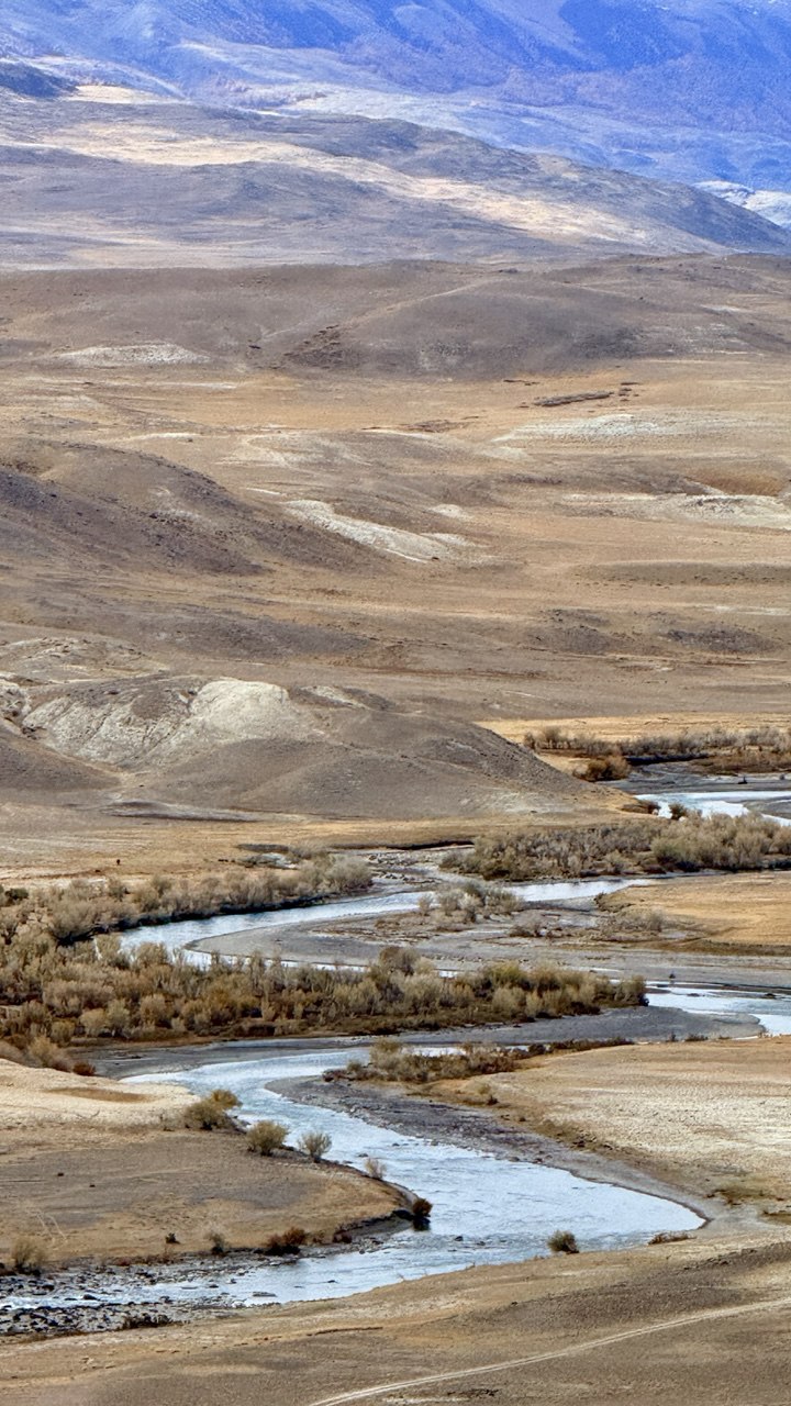 Волшебство Чуйского тракта. Знакомство с одной из самых красивых дорог мира (31/40)