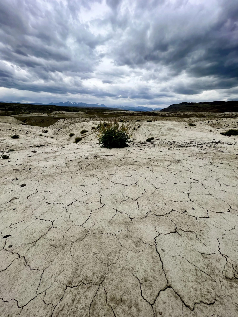 Волшебство Чуйского тракта. Знакомство с одной из самых красивых дорог мира (20/40)