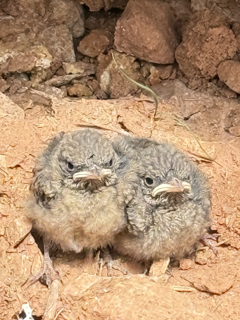 Волшебство Чуйского тракта. Знакомство с одной из самых красивых дорог мира (34/40)