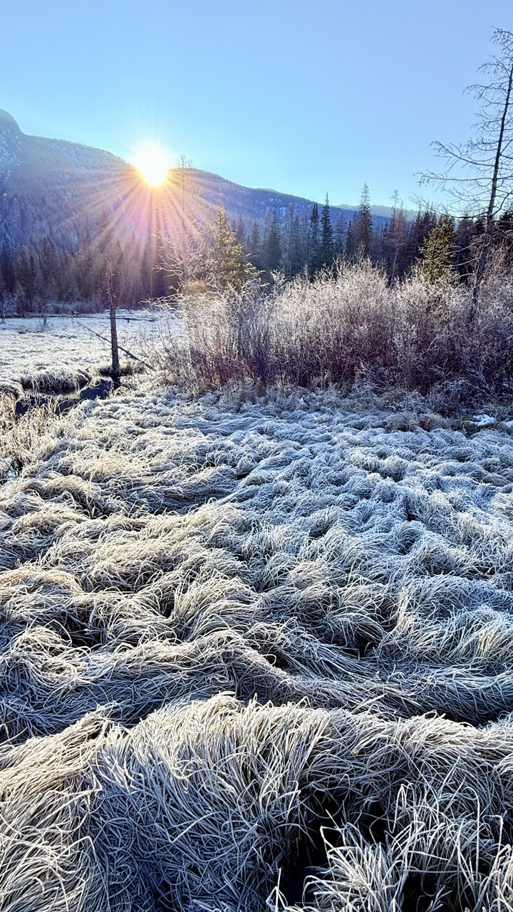 Волшебство Чуйского тракта. Знакомство с одной из самых красивых дорог мира (22/40)