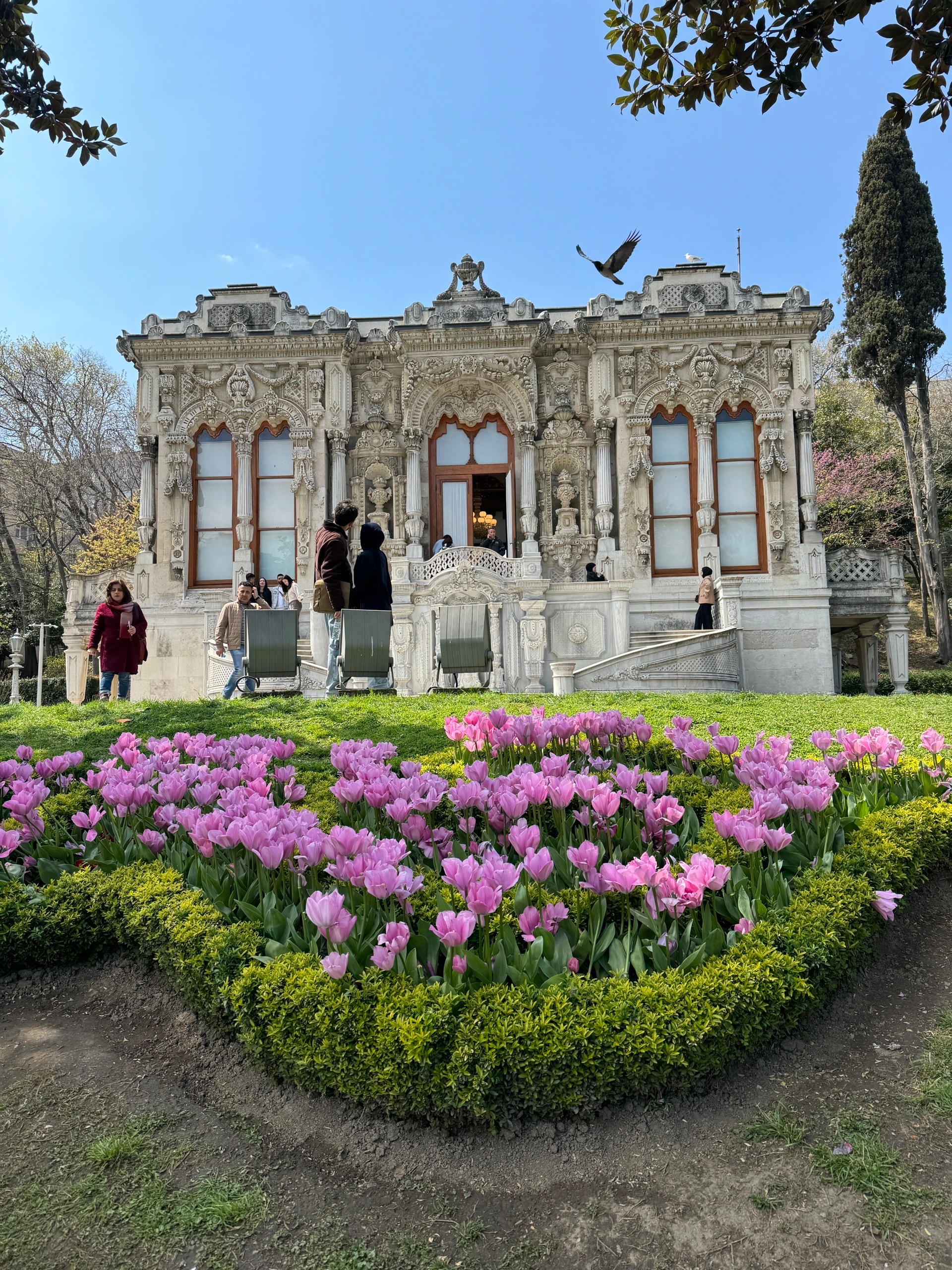 Яркий Стамбул: фестиваль тюльпанов 8-12 апреля (31/32)