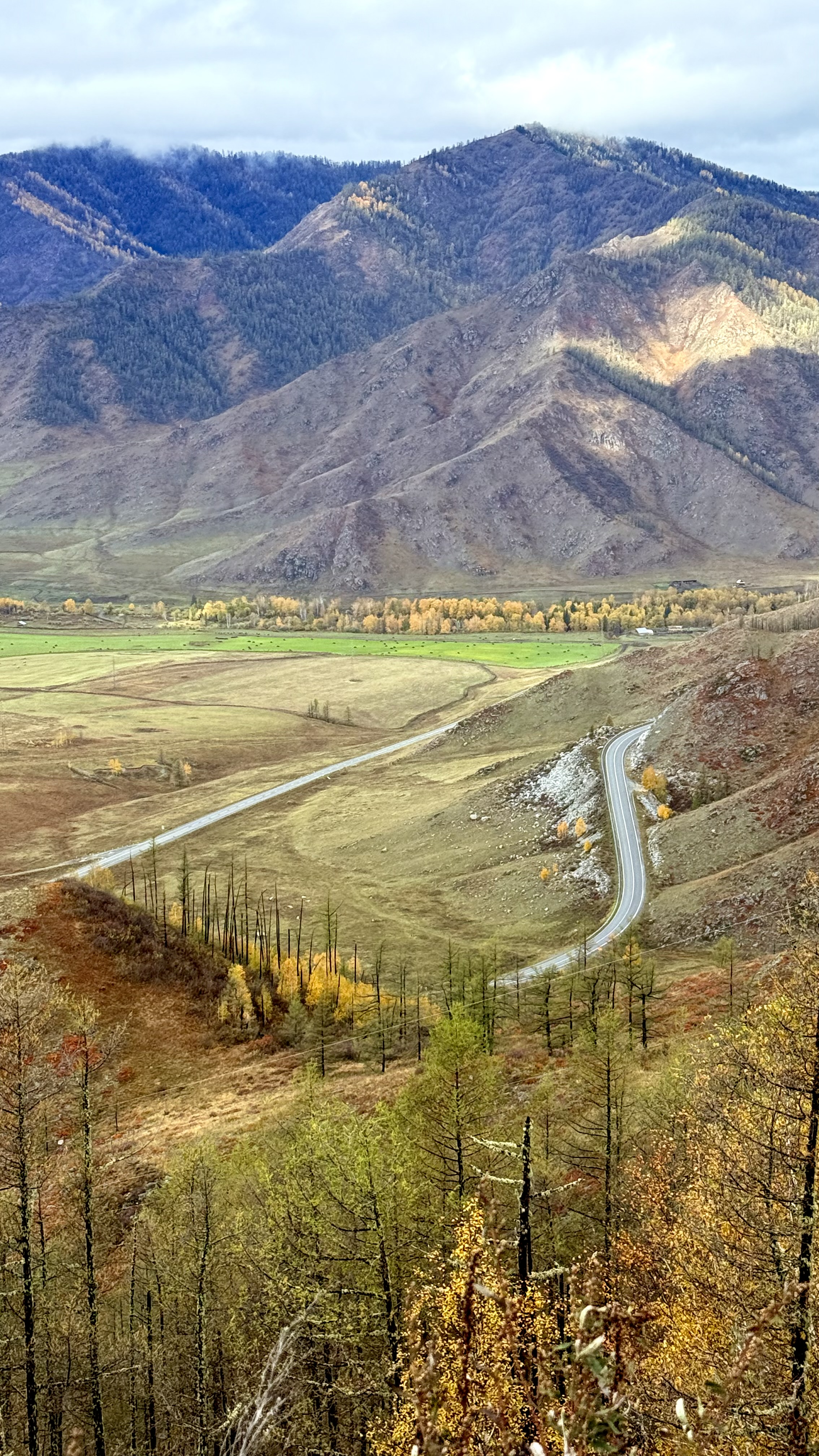 Волшебство Чуйского тракта. Знакомство с одной из самых красивых дорог мира (3/40)