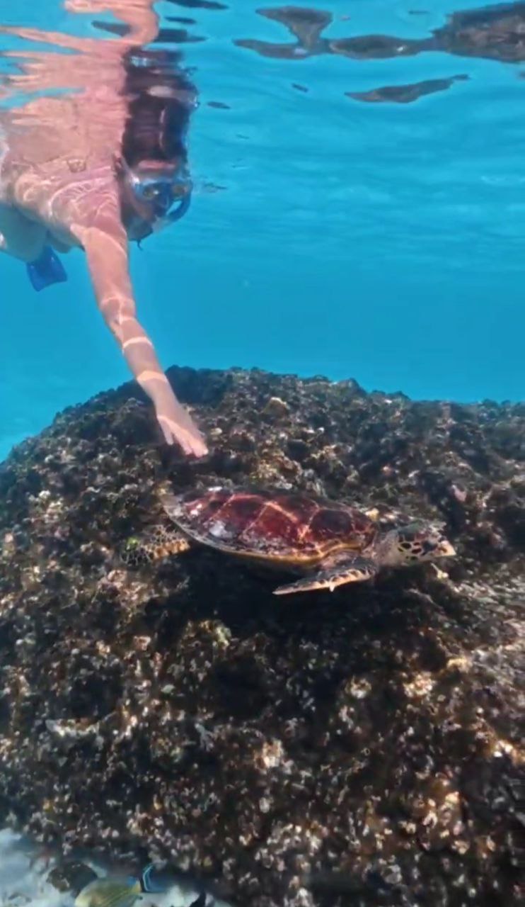 Путешествие  на Мальдивы (25/30)