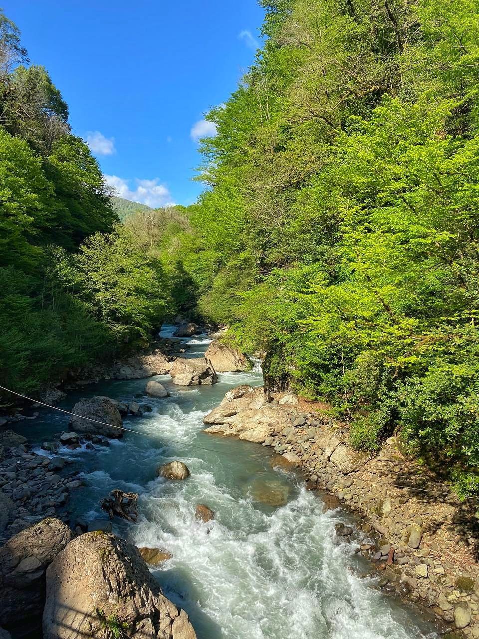 Полное погружение: душа Абхазии и роскошь Сочи (7/25)