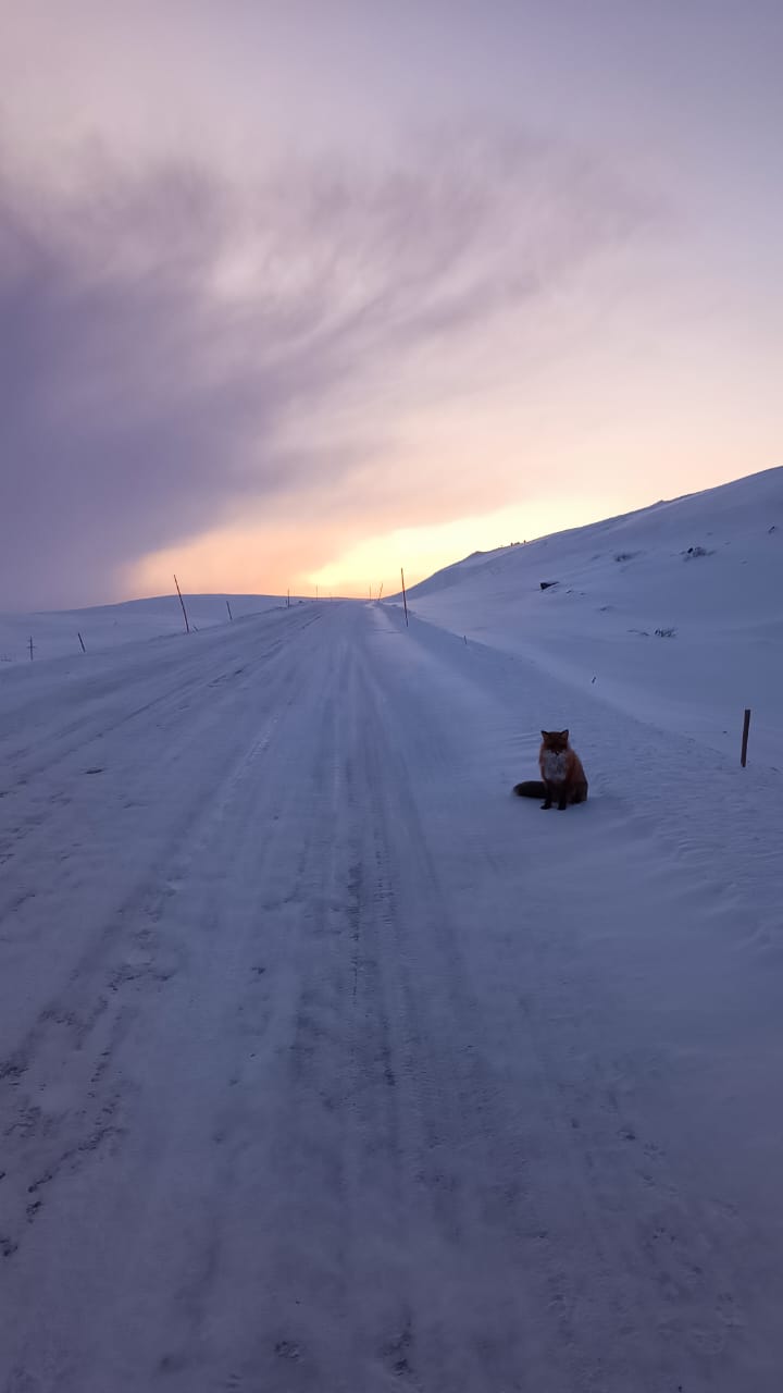 Кинематографичная Териберка