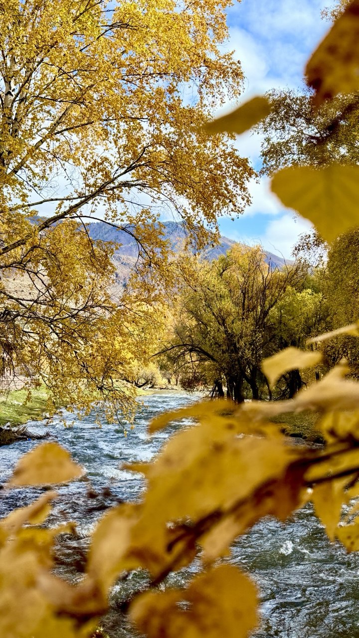 Волшебство Чуйского тракта. Знакомство с одной из самых красивых дорог мира (19/40)