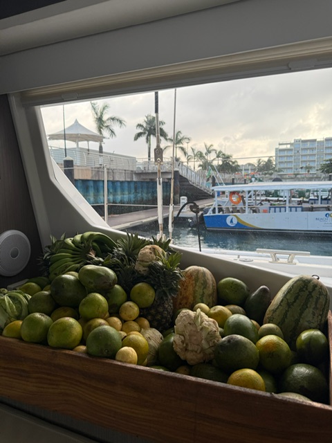 Занзибар : катамаран, океан, открытия без границ! (6/26)