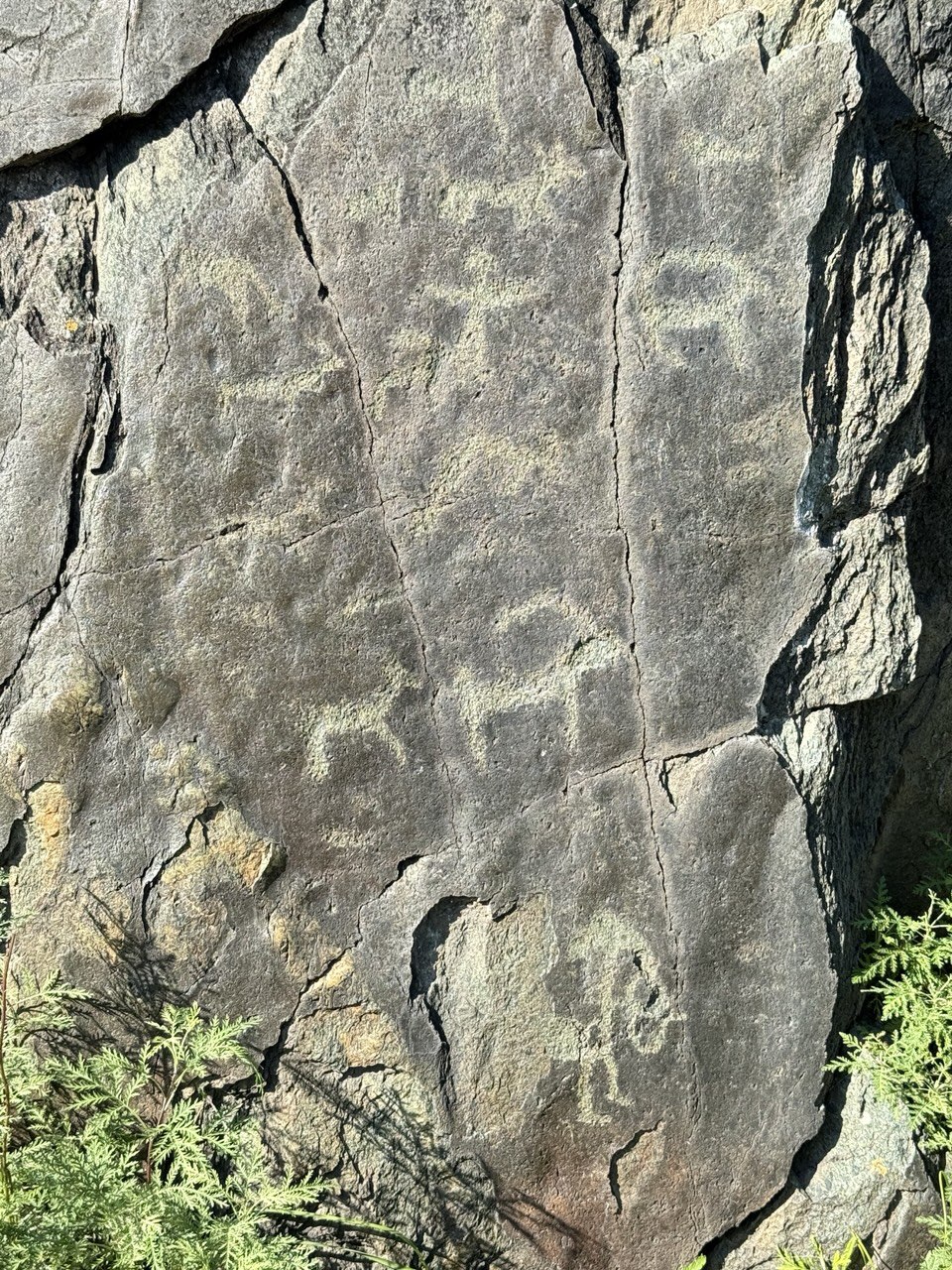 Волшебство Чуйского тракта. Знакомство с одной из самых красивых дорог мира (30/40)
