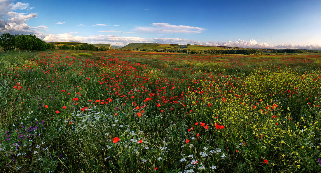Тайны древнего Крыма (без палаток) (8/16)