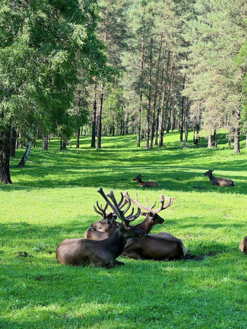 Алтайские приключения, 4 дня: максимум впечатлений и вау-локации (4/14)