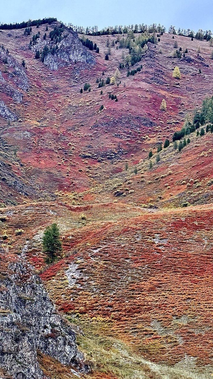 Волшебство Чуйского тракта. Знакомство с одной из самых красивых дорог мира (24/40)