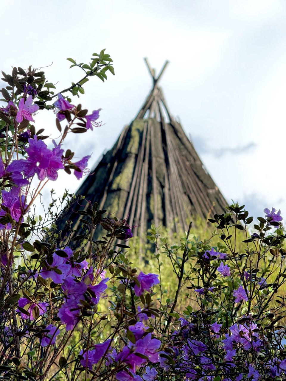 Волшебство Чуйского тракта. Знакомство с одной из самых красивых дорог мира (9/40)