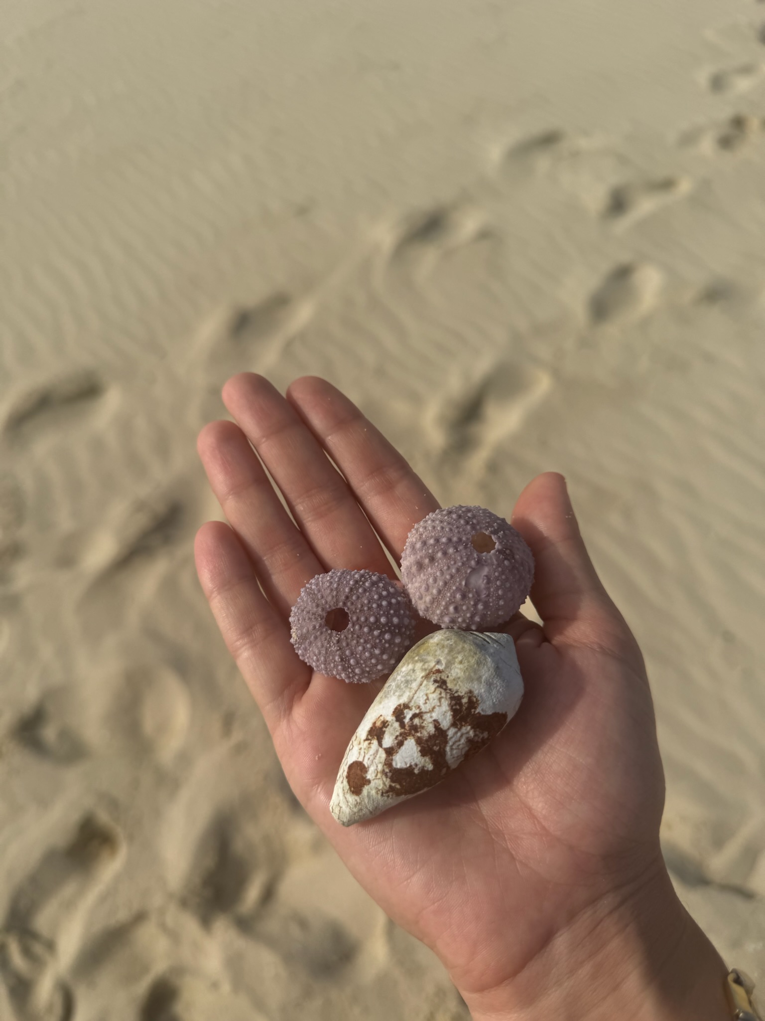 Занзибар : катамаран, океан, открытия без границ! (7/26)