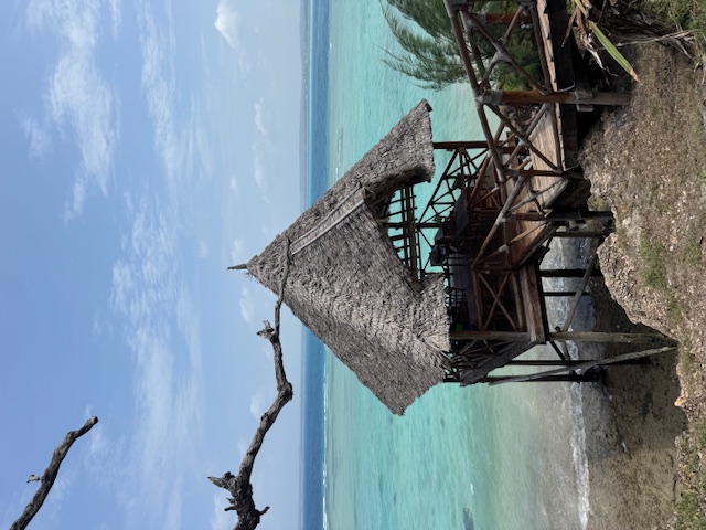 Занзибар : катамаран, океан, открытия без границ! (22/26)