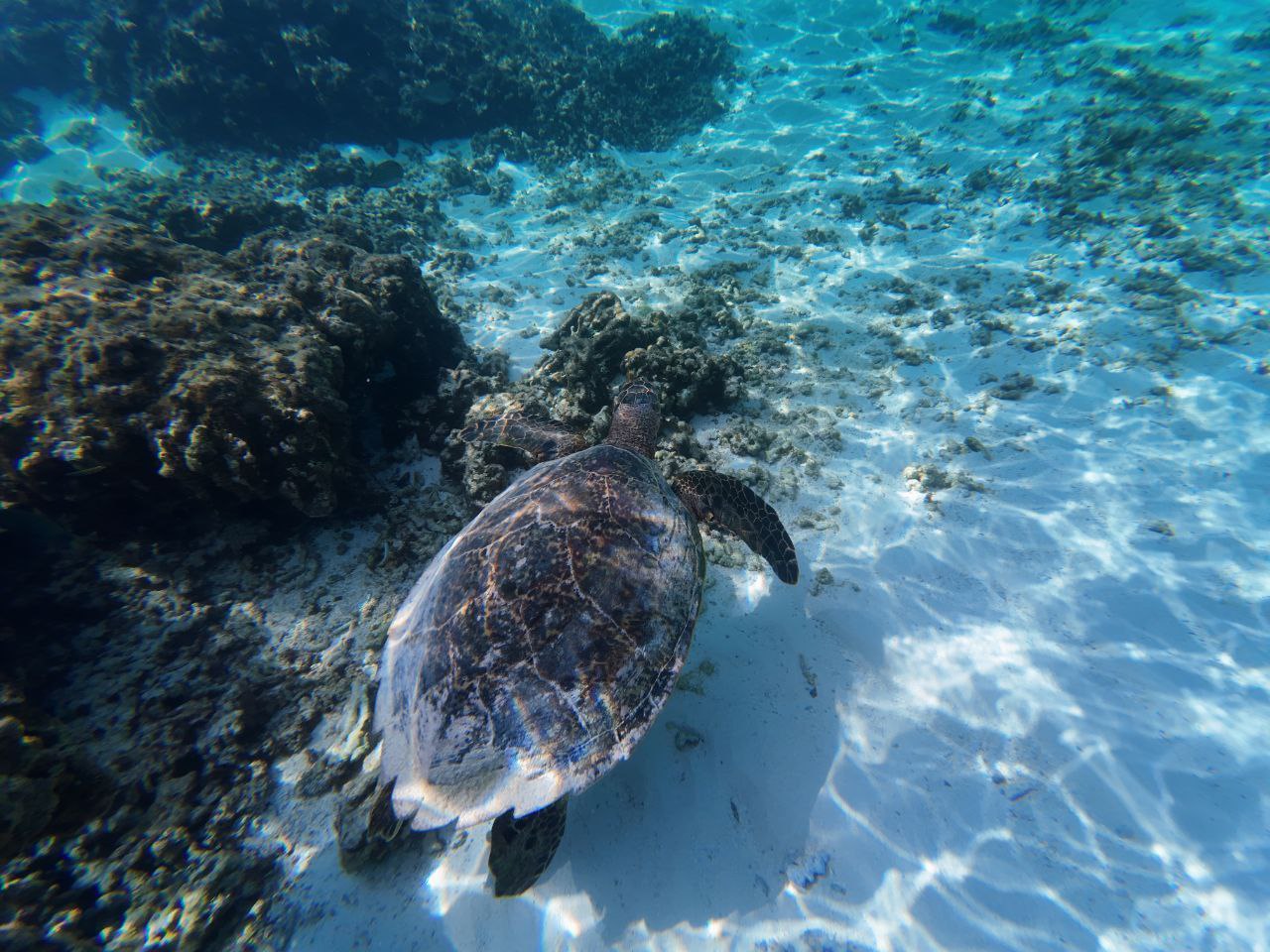 Путешествие  на Мальдивы (24/30)