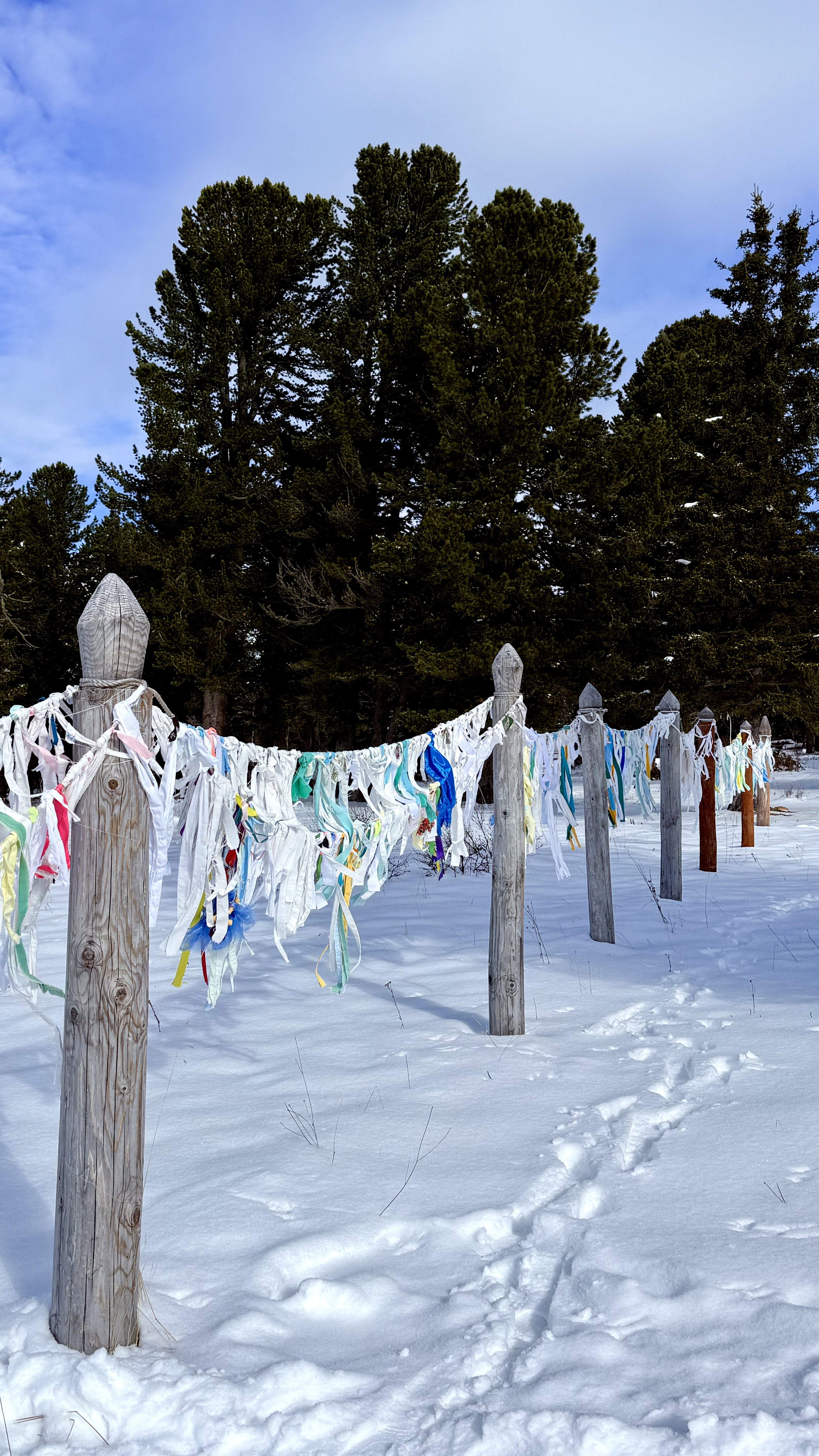 Волшебство Чуйского тракта. Знакомство с одной из самых красивых дорог мира (2/40)