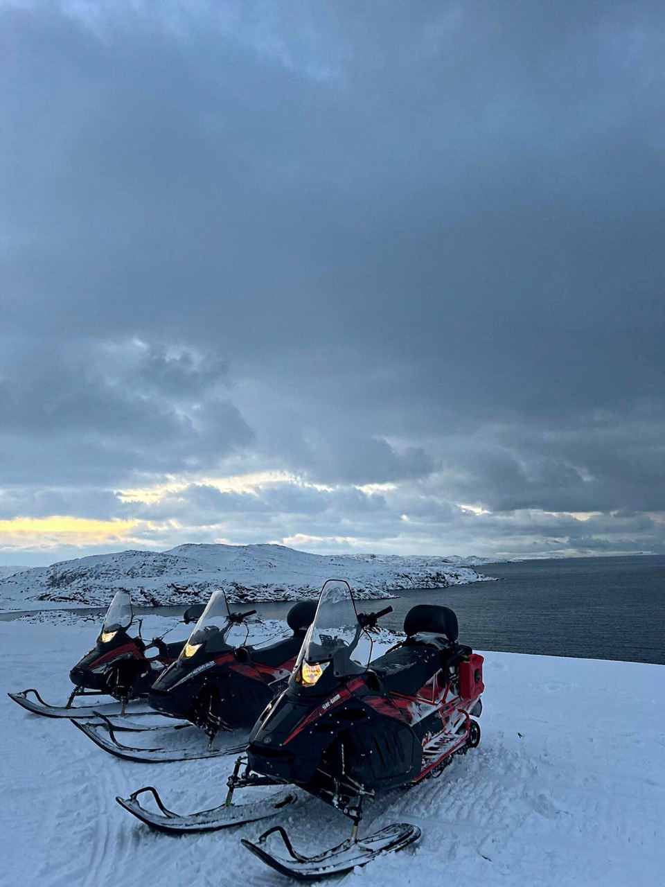 Снегоходное сафари (тур на снегоходах) в Териберке