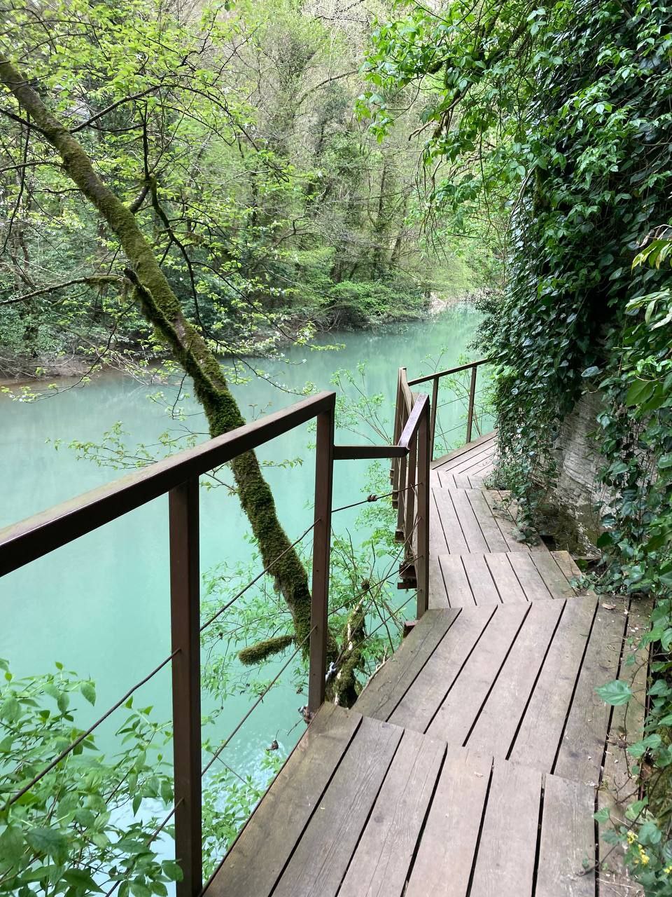 Полное погружение: душа Абхазии и роскошь Сочи (3/25)