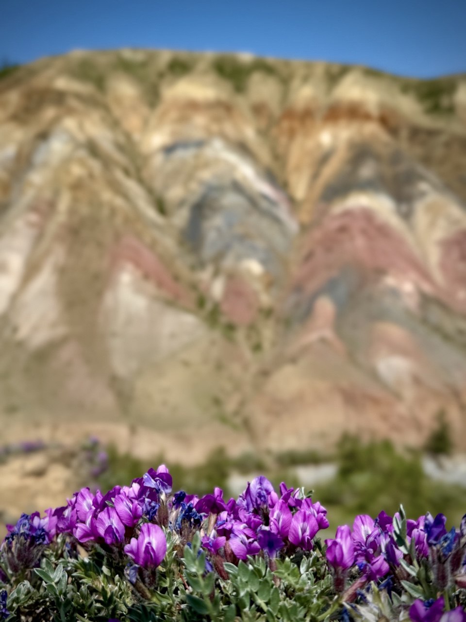 Волшебство Чуйского тракта. Знакомство с одной из самых красивых дорог мира (16/40)