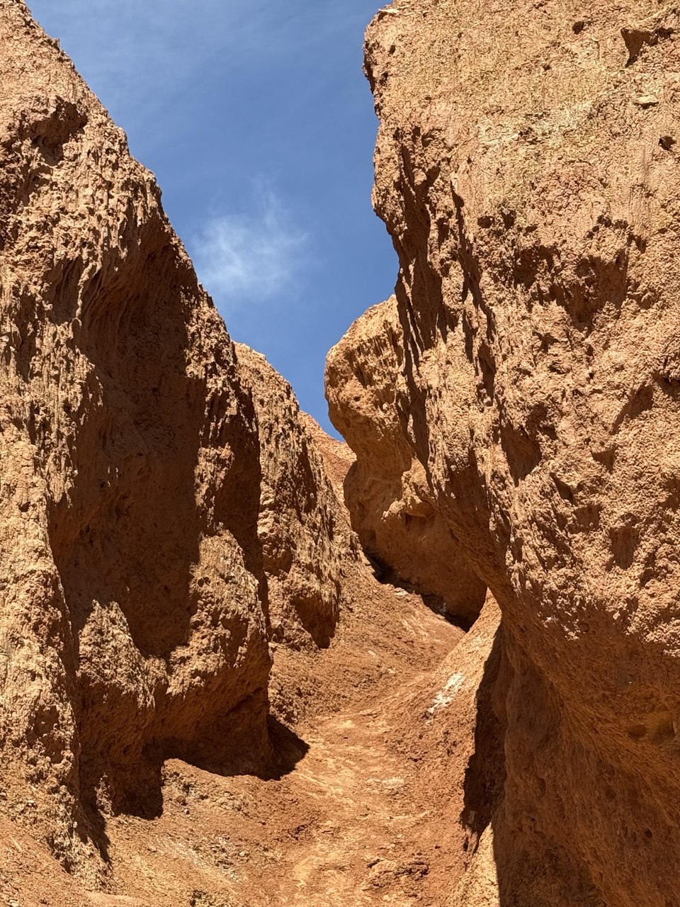 Волшебство Чуйского тракта. Знакомство с одной из самых красивых дорог мира (32/40)
