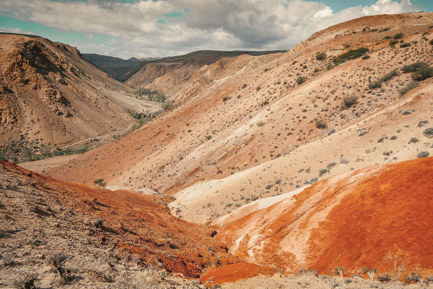 Сафари Тур по Алтаю (9/15)