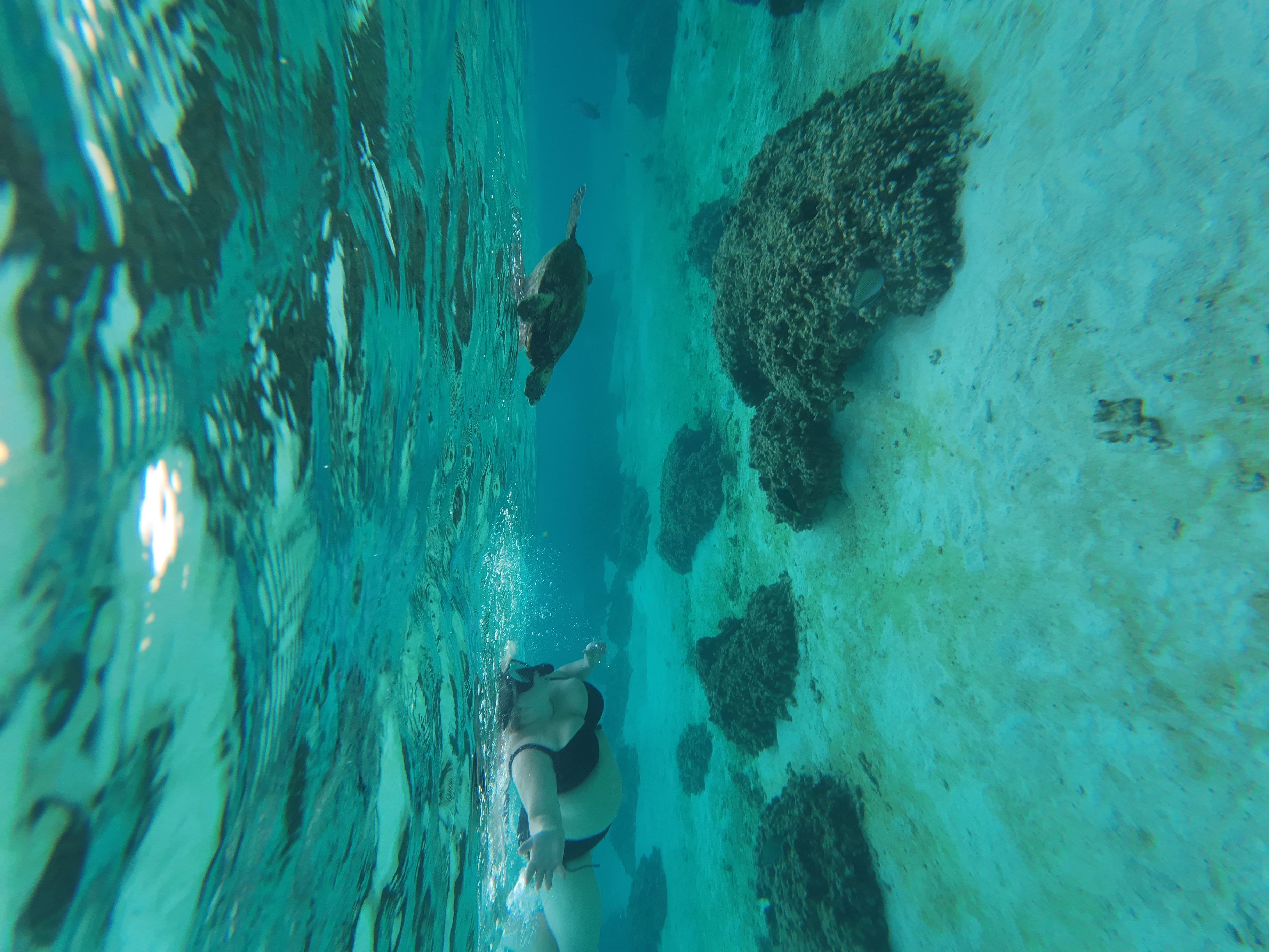 Путешествие  на Мальдивы (2/30)