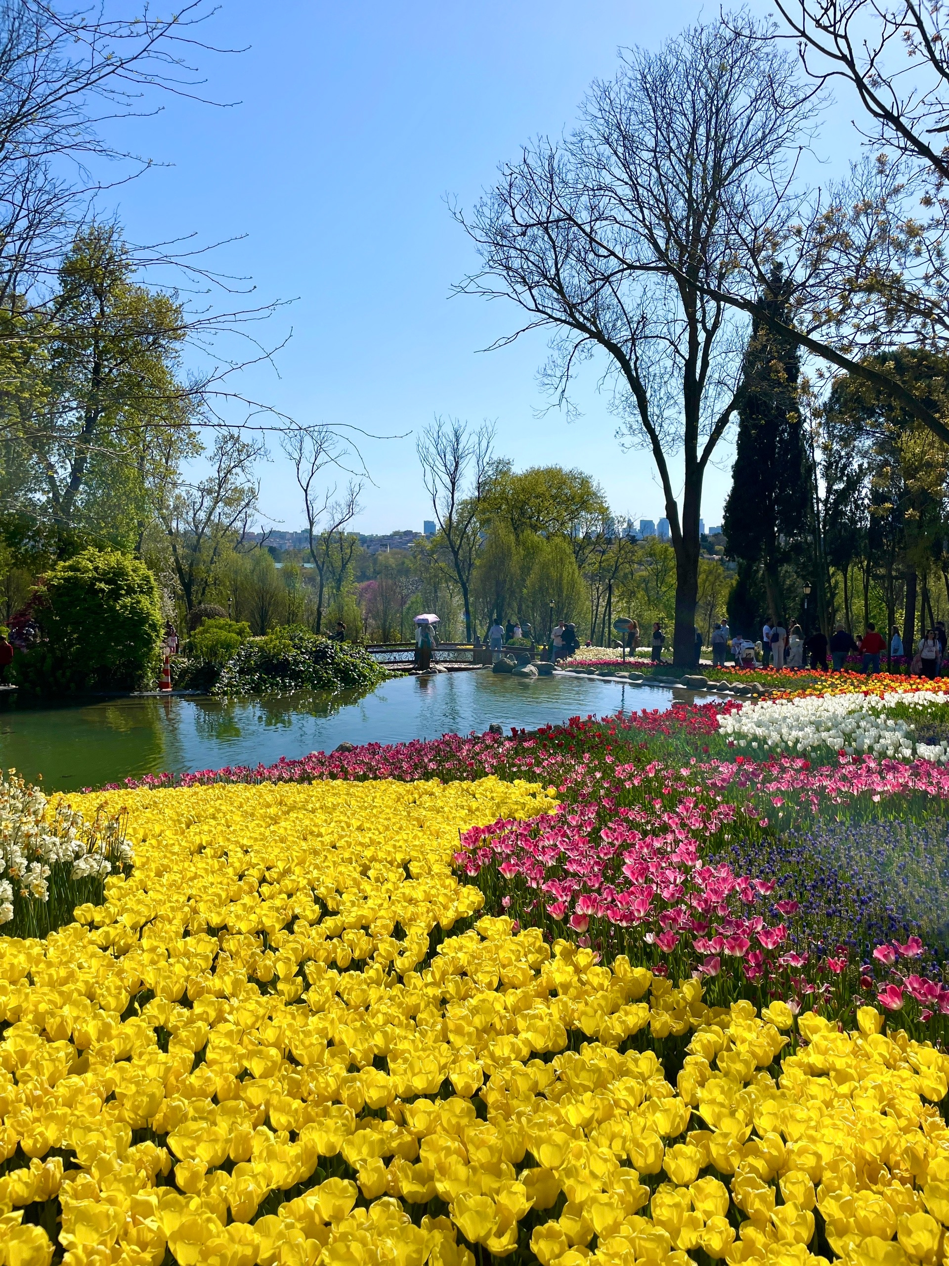 Яркий Стамбул: фестиваль тюльпанов 8-12 апреля (14/32)