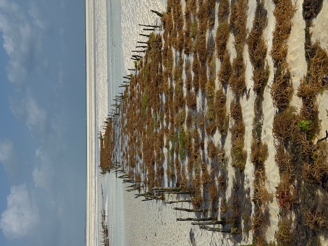 Занзибар : катамаран, океан, открытия без границ! (24/26)